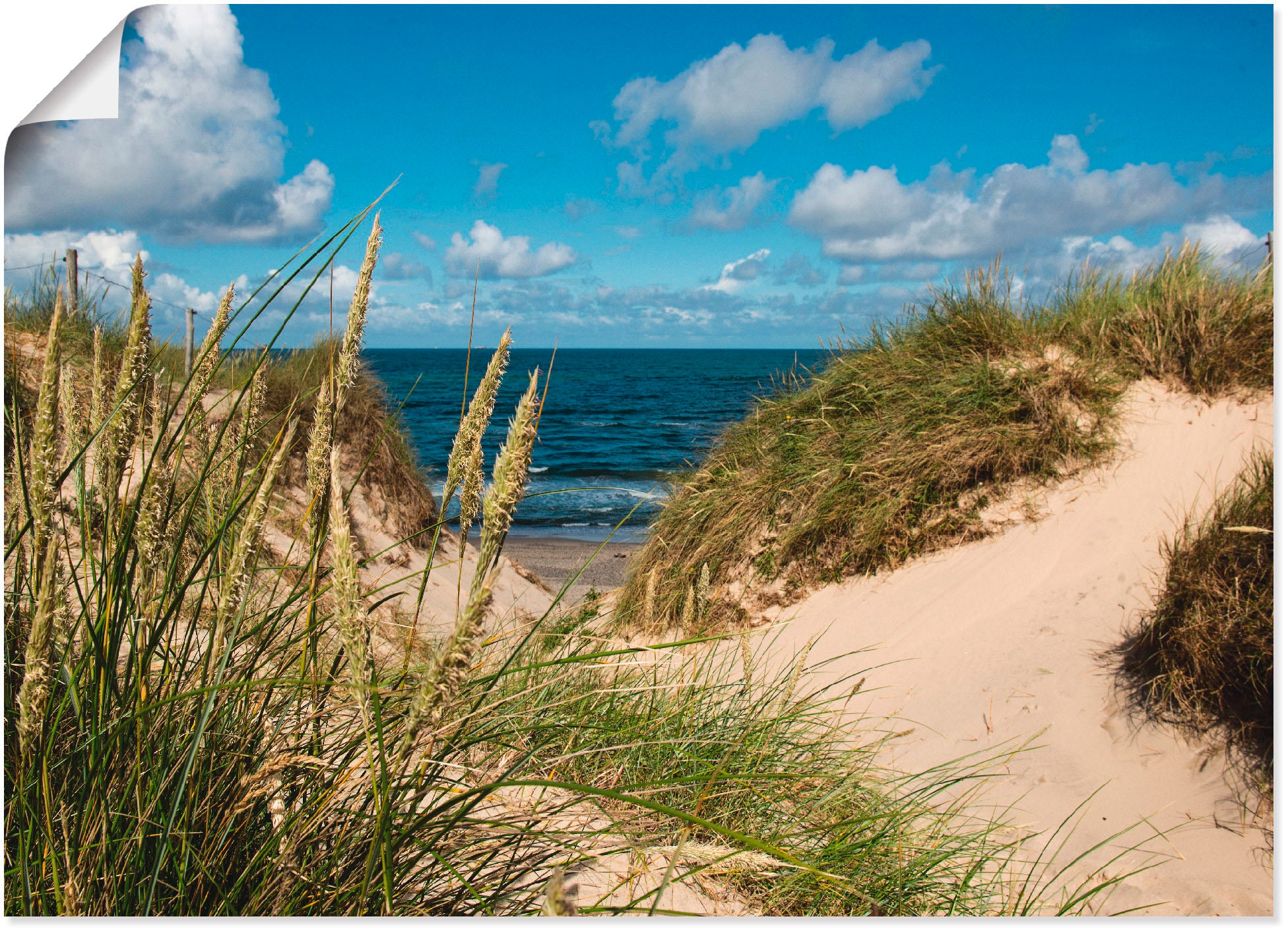 Artland Poster »Strand bei Vesterhav«, Strand, (1 St.), als Alubild, Leinwa günstig online kaufen