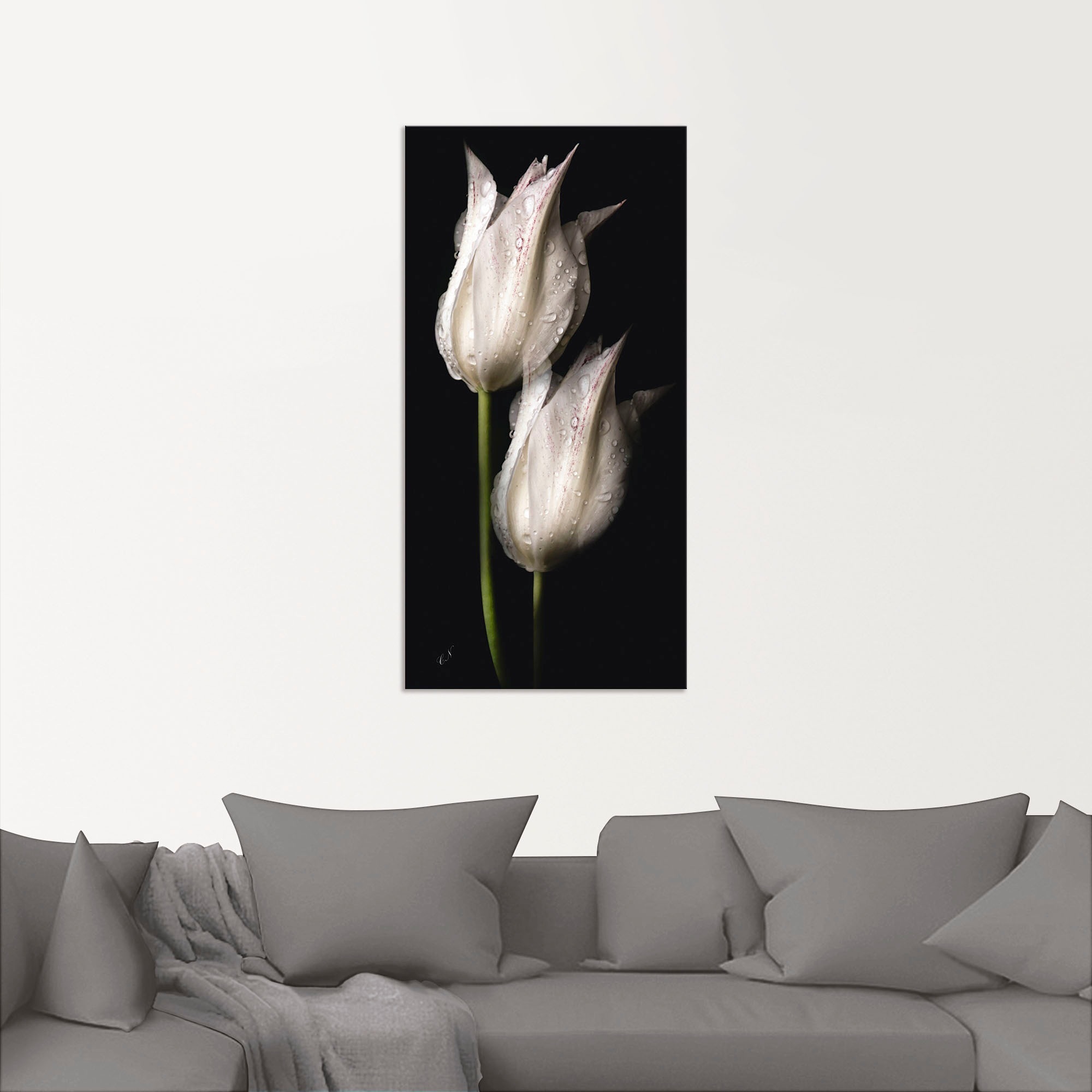Artland Wandbild »Weiße Tulpen in der Nacht«, Blumenbilder, (1 St.), als Alubild, Outdoorbild, Leinwandbild, Poster, Wandaufkleber