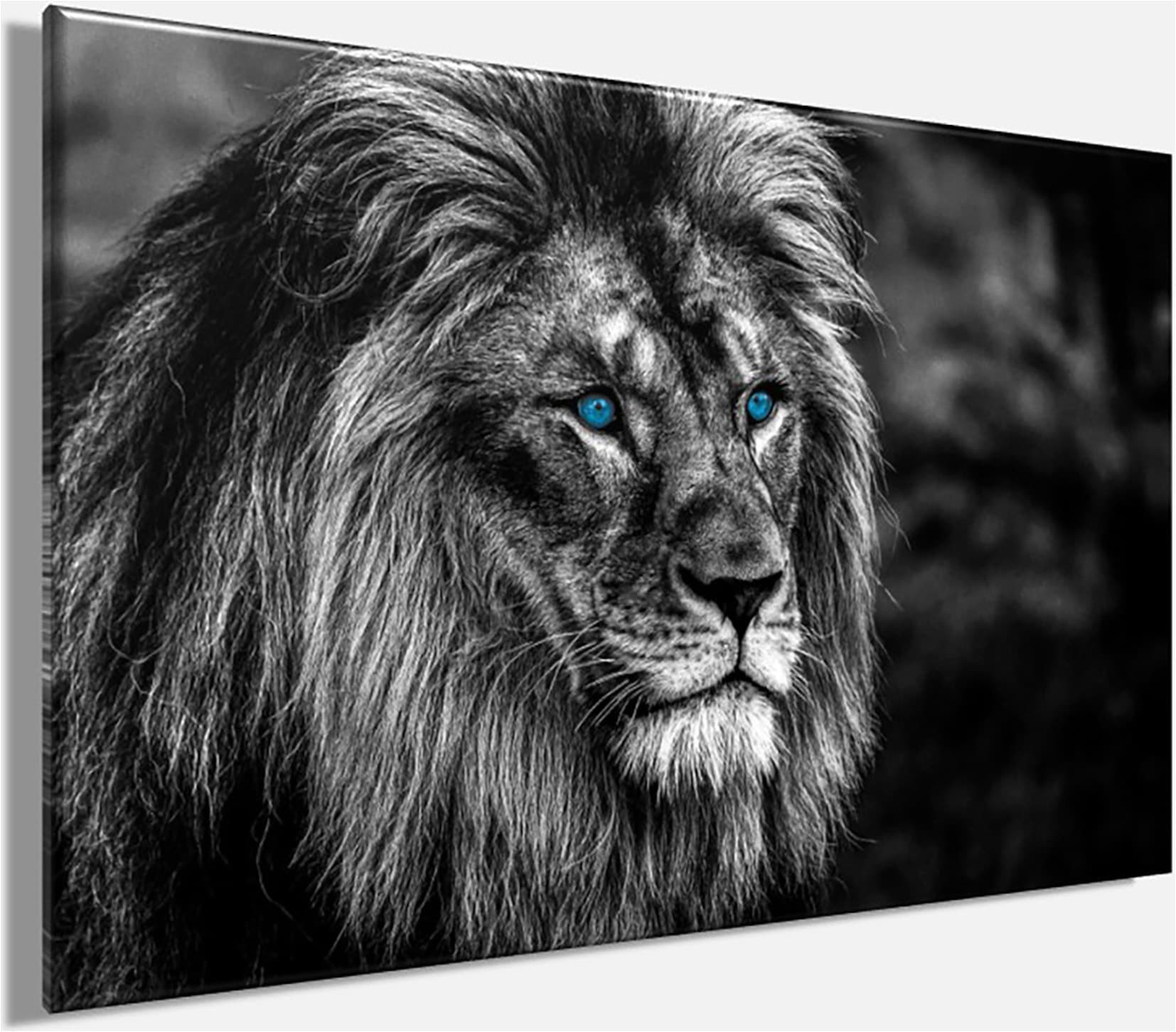 Bönninghoff Leinwandbild »Wandbild LÖWE 60x90 cm – Leinwandbild Keilrahmen Deko modern« Löwe 1 Stk. tlg. auf Keilrahmen gespannt