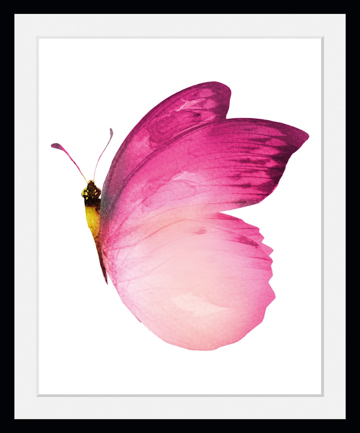 queence Bild »Judy«, Schmetterlinge-Kunst-Insekten, (1 St.), HD Premium Pos günstig online kaufen