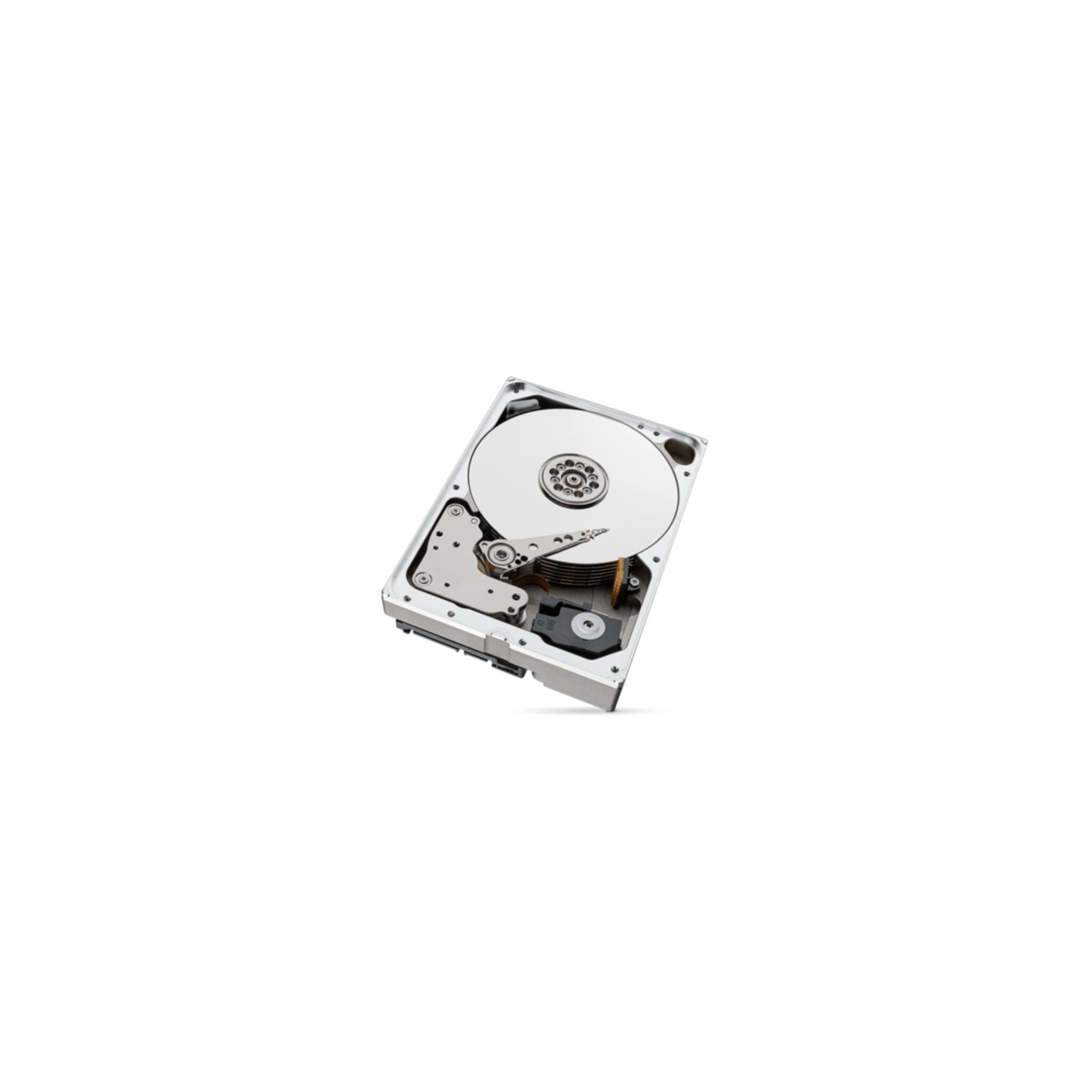 Seagate interne HDD-Festplatte »ST10000NT001«