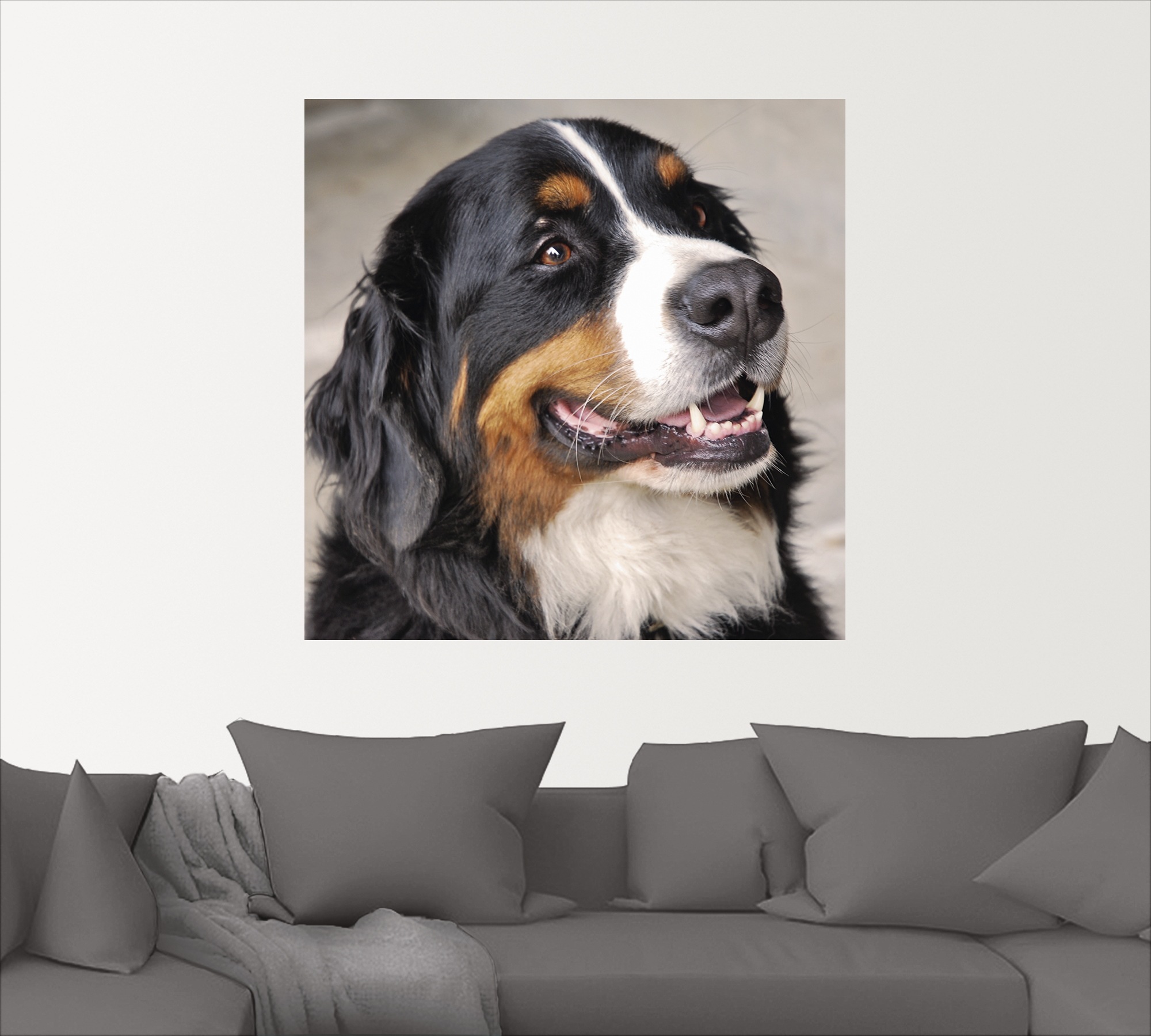 Artland Wandbild »Berner Sennenhund«, Haustiere, (1 St.), als Poster, Wandaufkleber in verschied. Größen