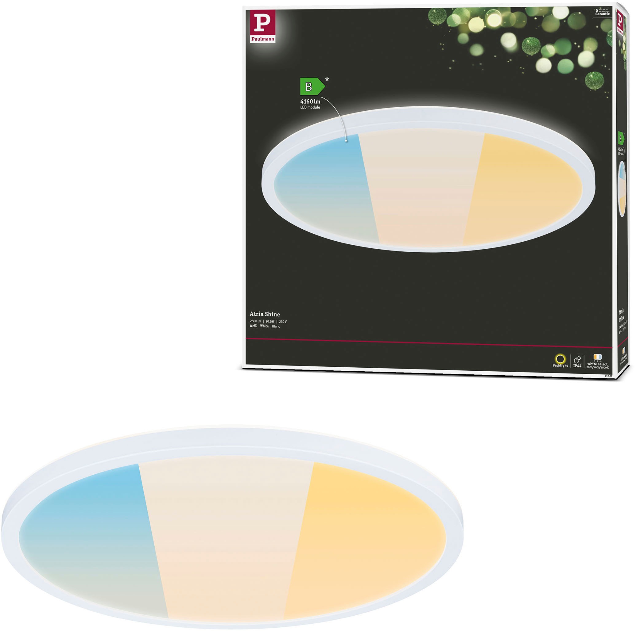 Paulmann LED Deckenleuchte »LED Panel Atria Shine IP44 rund 398mm White Swi günstig online kaufen