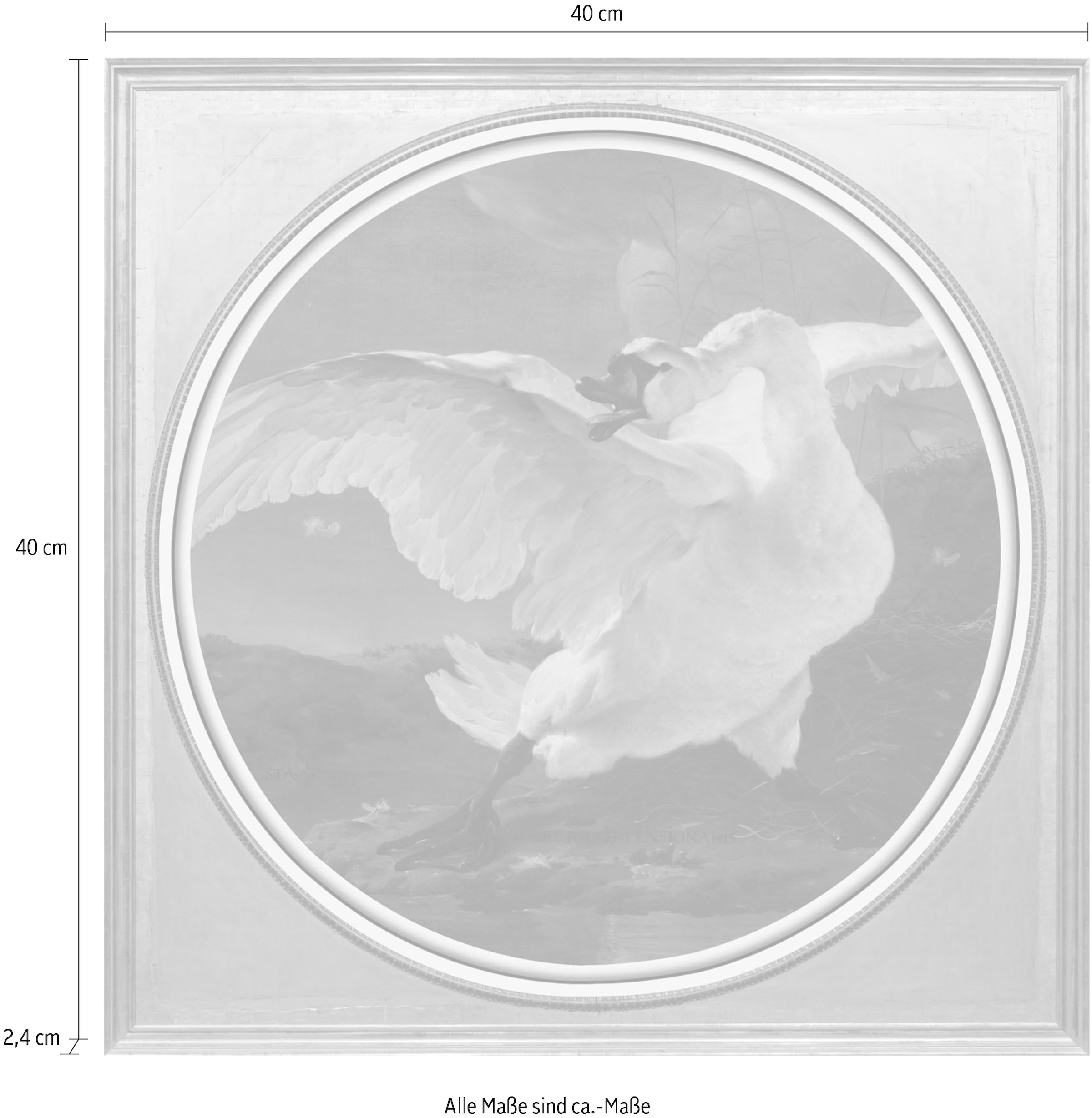 queence Acrylglasbild »Schwan«, Kunst-Vögel-Vogelbilder-Ente-Enten-Gemälde, Fine Art-Print in Galeriequalität