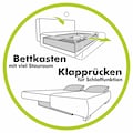 Jockenhöfer Gruppe Schlafsofa, inklusive Bettfunktion, Stauraum/Bettkasten, Wellenfederung
