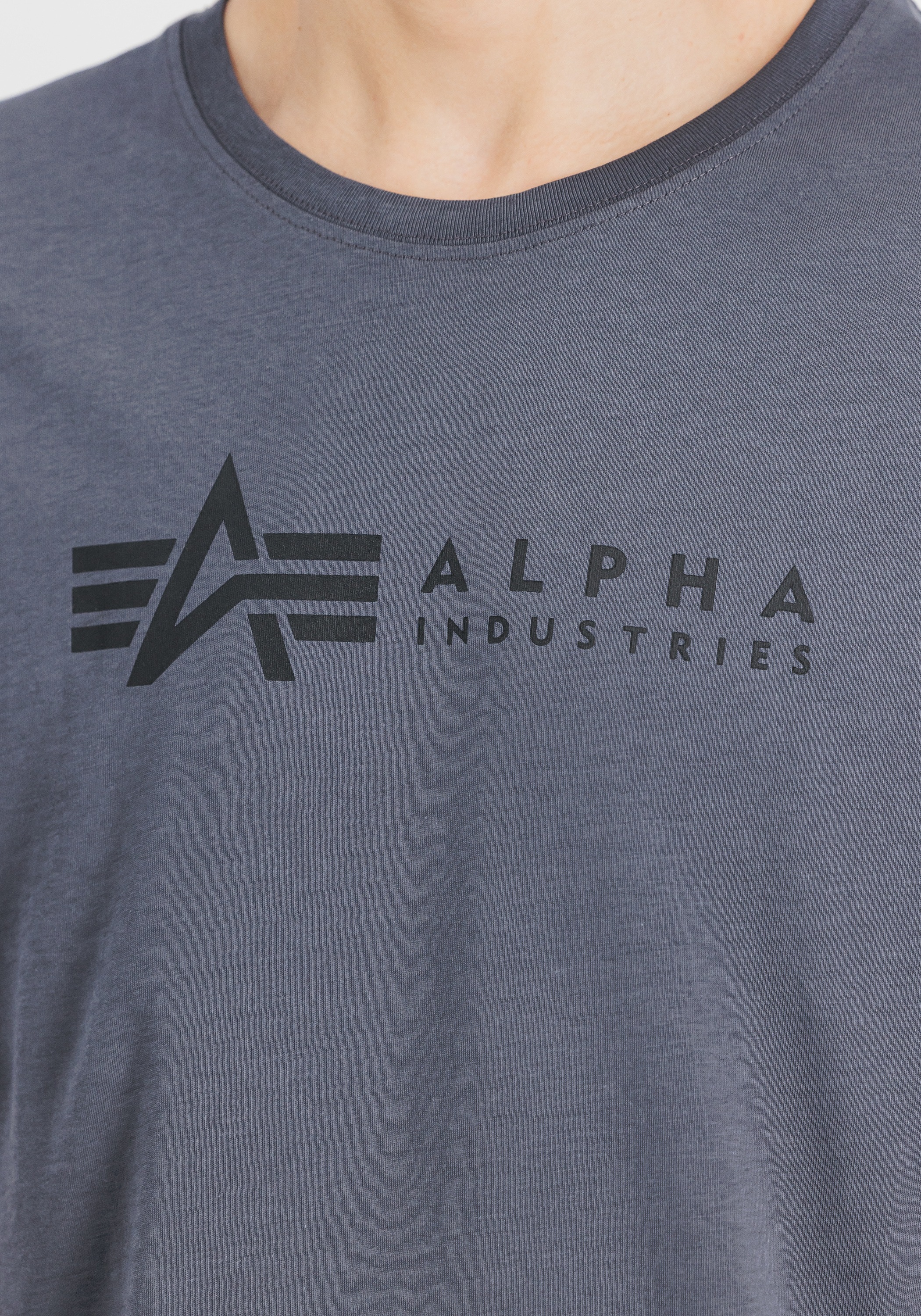 Alpha Industries T-Shirt »Alpha Industries Men - T-Shirts Alpha Label T 2 Pack«
