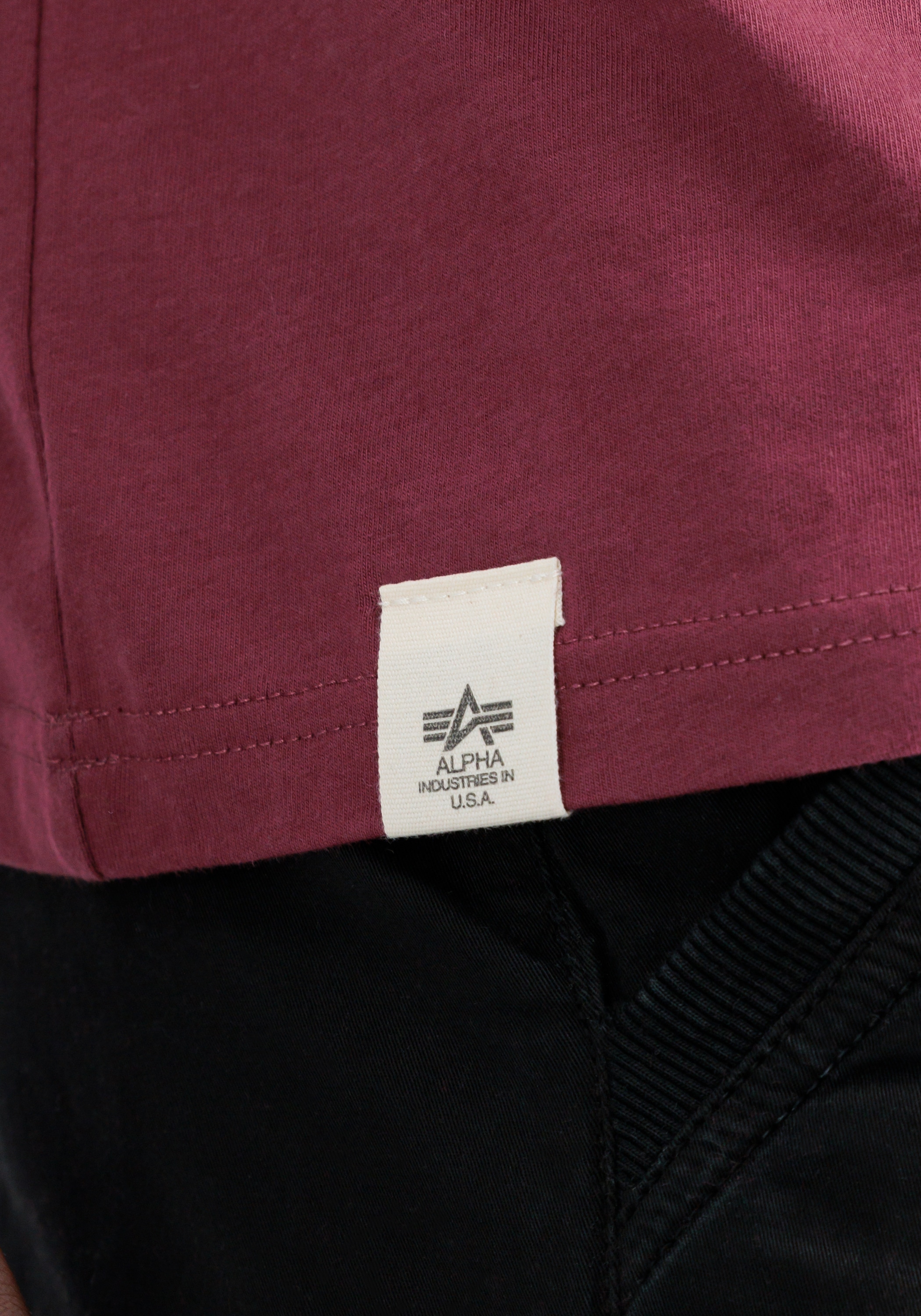 Alpha Industries T-Shirt »Organics EMB T-Shirt«