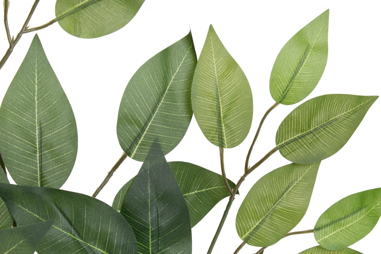 Botanic-Haus Kunstzweig »Ficuszweig«