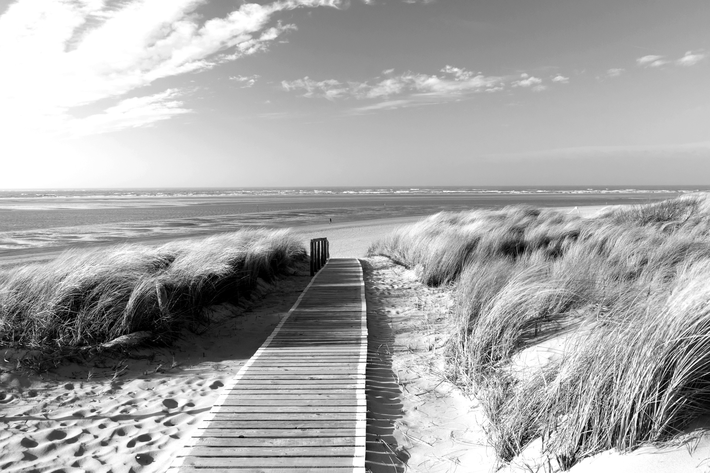 Papermoon Fototapete Strand Schwarz & Weiß günstig online kaufen