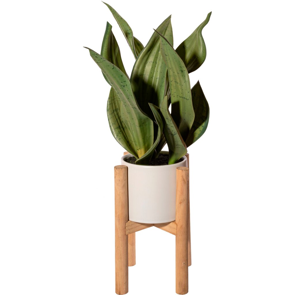 Creativ green Künstliche Zimmerpflanze »Sanseveria im Keramiktopf auf Holzrack«