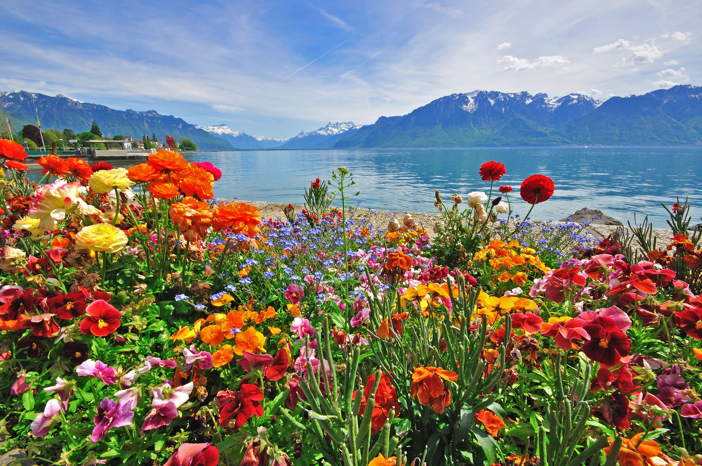 Papermoon Fototapete »BLUMEN-DESIGN NATUR LANDSCHAFT GEBIRGE BERGE ALPEN SE günstig online kaufen