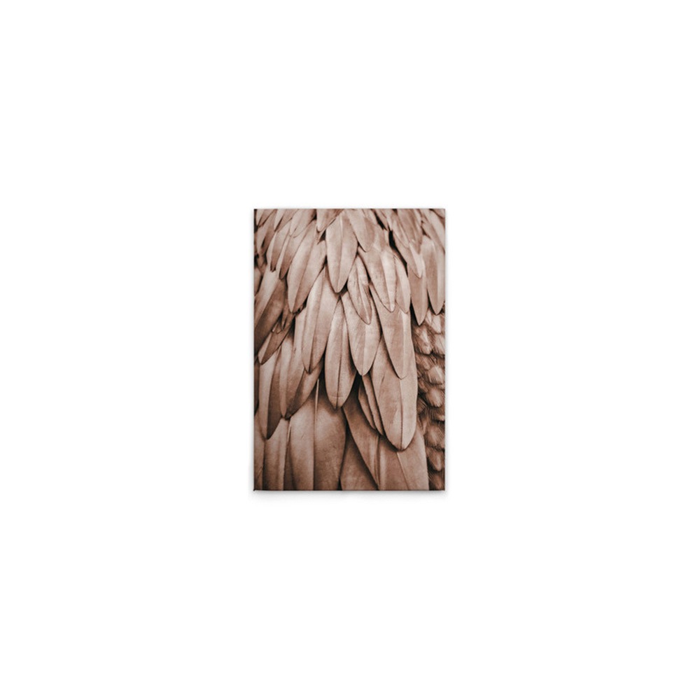 A.S. Création Leinwandbild »Feathers 1 - Wandbild Rosa Beige Keilrahmen Kun günstig online kaufen