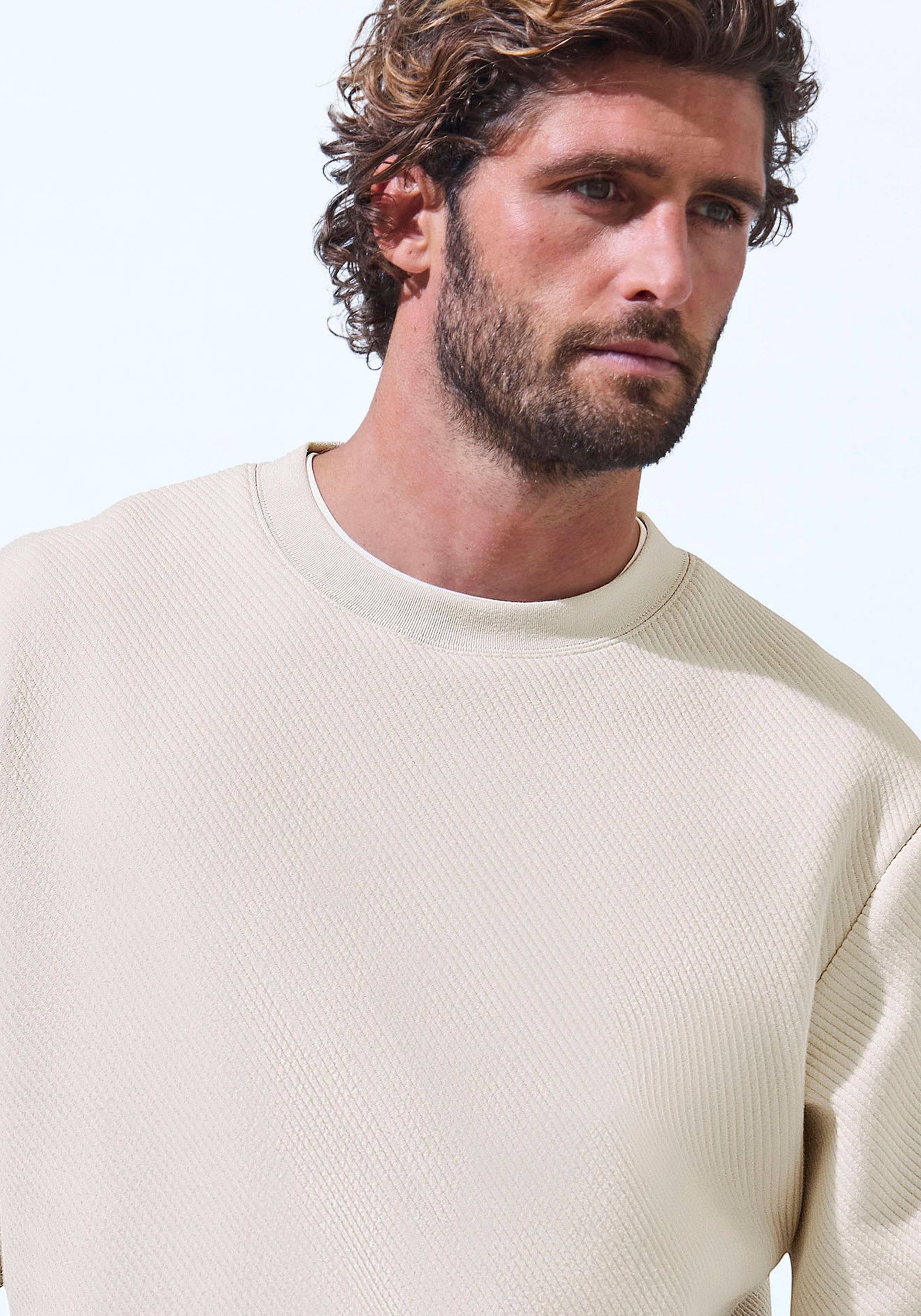 John Devin Sweatshirt, Langarm, Pullover mit Struktur, Rundhals, Baumwollmischung