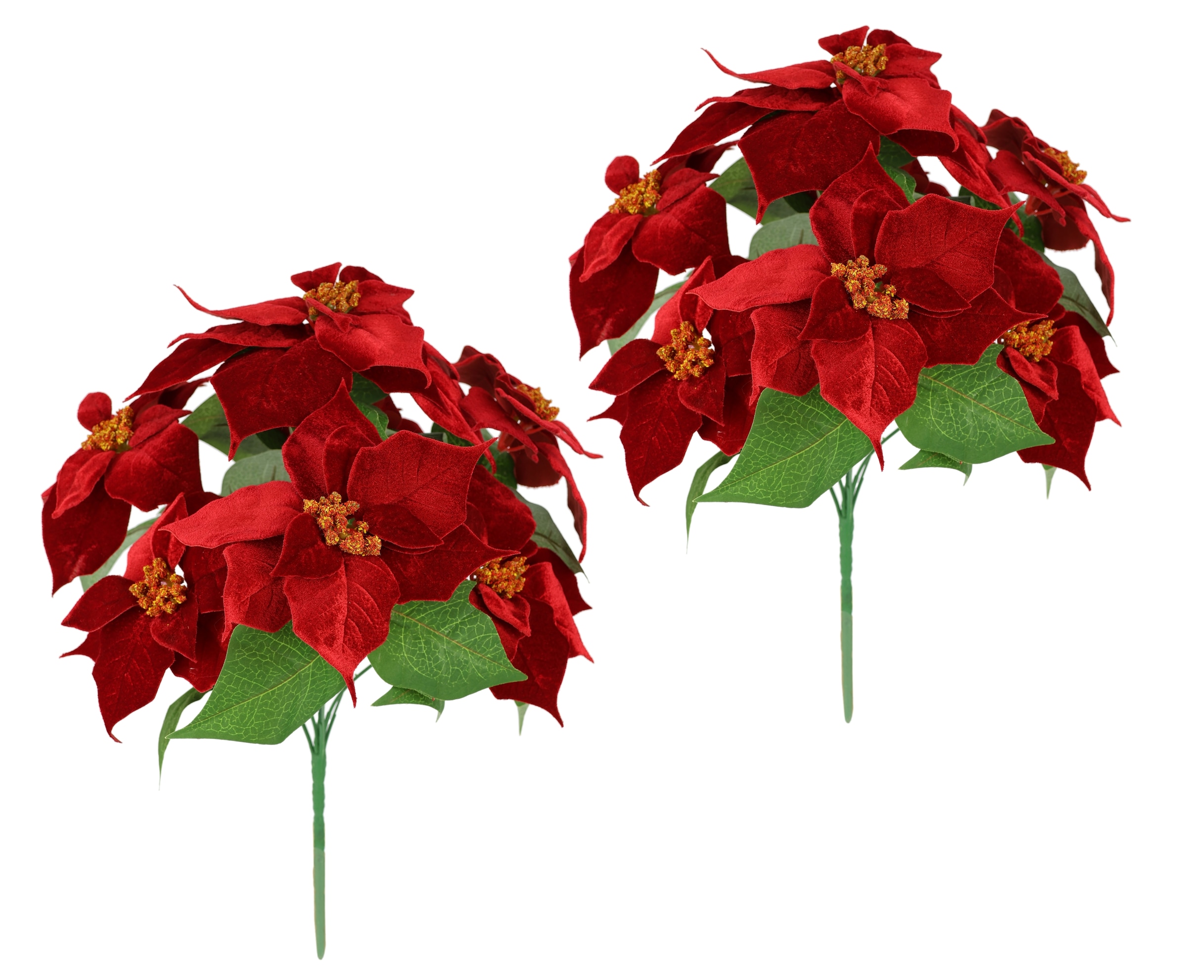 I.GE.A. Kunstblumenstrauß »Samt-Poinsettiabouquet« günstig online kaufen