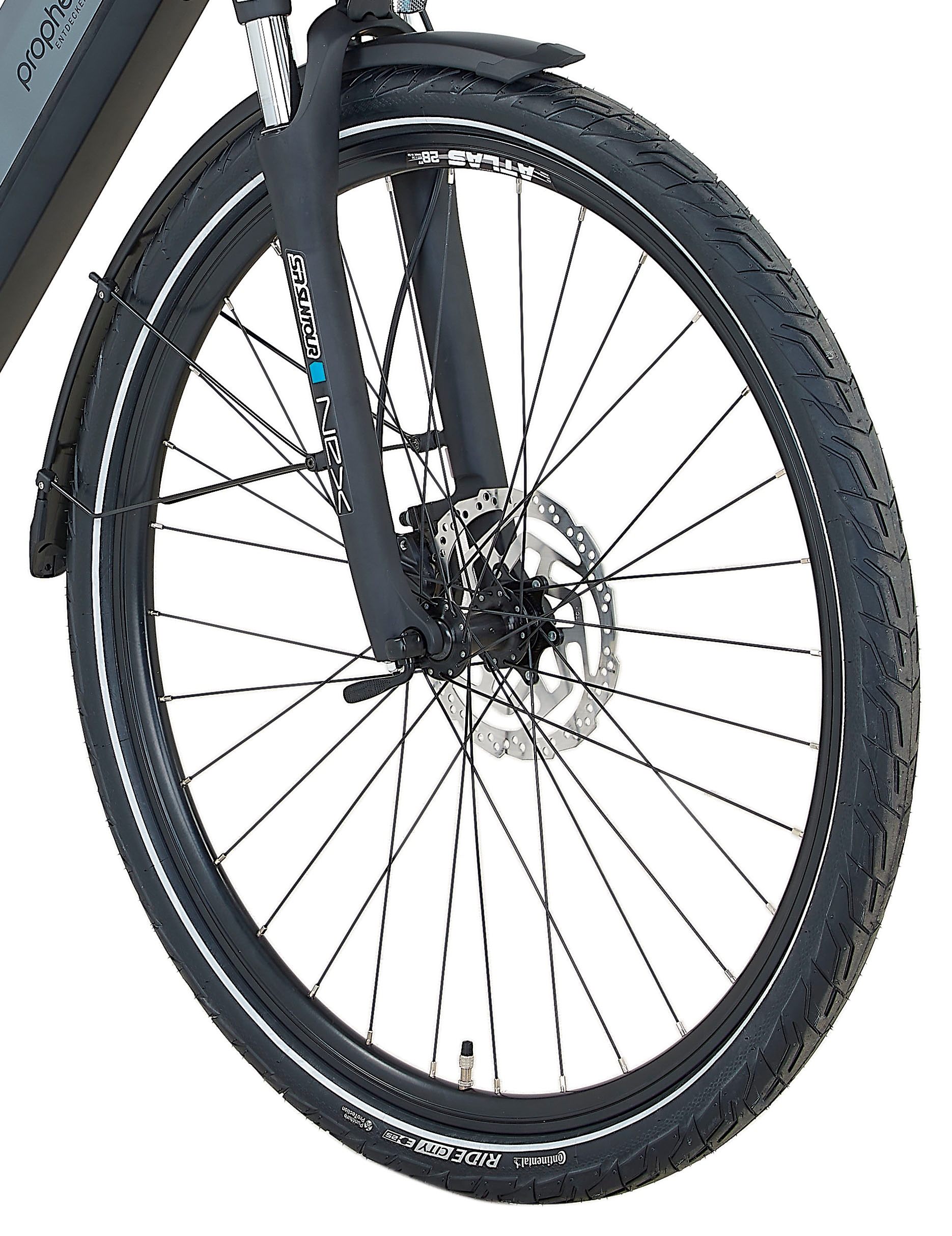 Prophete E-Bike »Entdecker 3.8«, 8 Gang, Shimano, Altus, Mittelmotor 250 W, Pedelec, Elektrofahrrad für Damen