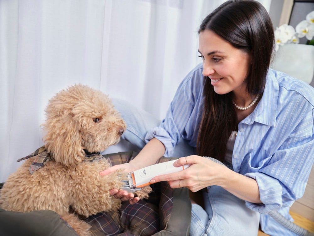 eta Bodenstaubsauger »Pet Master«, 350 W