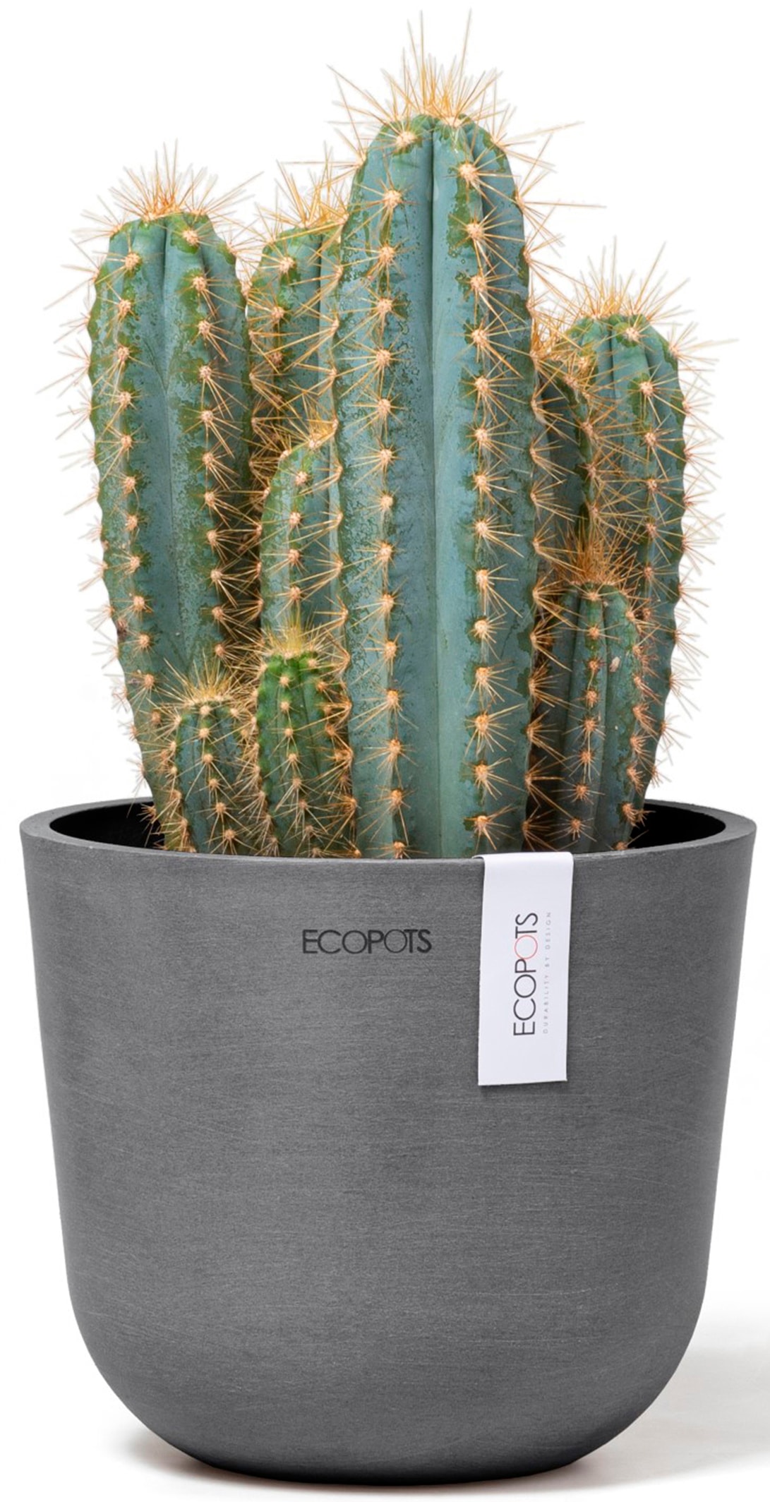 ECOPOTS Blumentopf »Oslo Mini 16 Grau«, für den Innenbereich