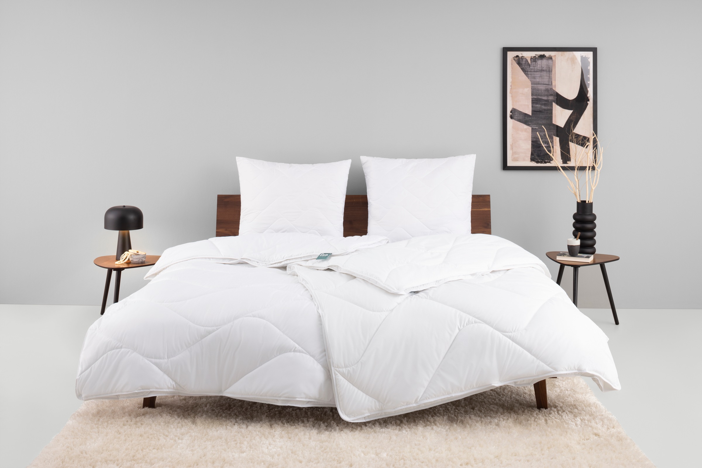 fan Microfaserbettdecke + Kopfkissen »Bettwaren-Set in 135x200 cm, für Sommer oder 4-Jahreszeiten«, (Spar-Set, 4-Tlg.)