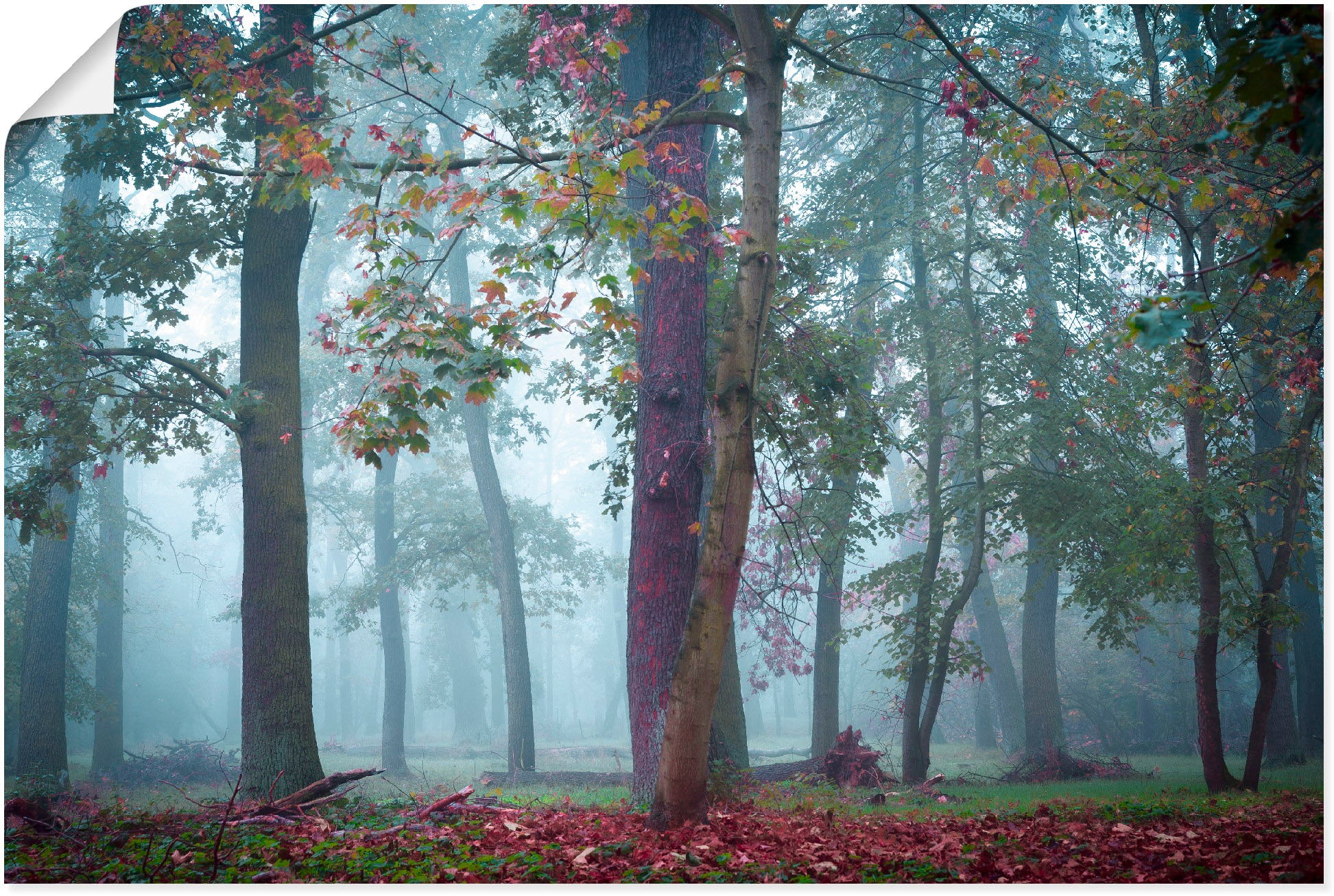 Artland Wandbild »Nebel im Wald«, Waldbilder, (1 St.), als Alubild, Outdoor günstig online kaufen