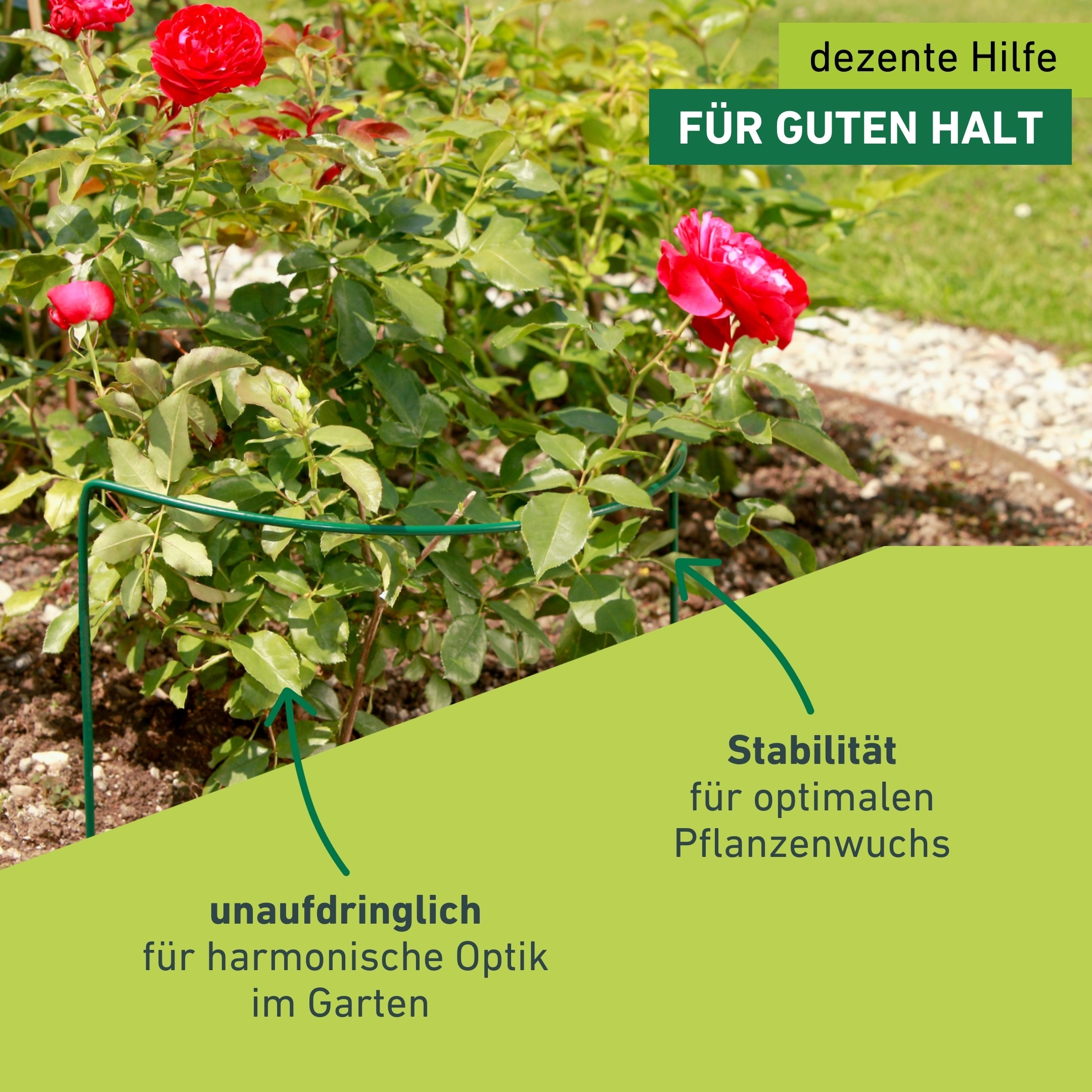 Windhager Rankhilfe »für optimalen Pflanzenwuchs, Staudenstütze« Pflanzstab erhältlich in unterschiedlichen Größen