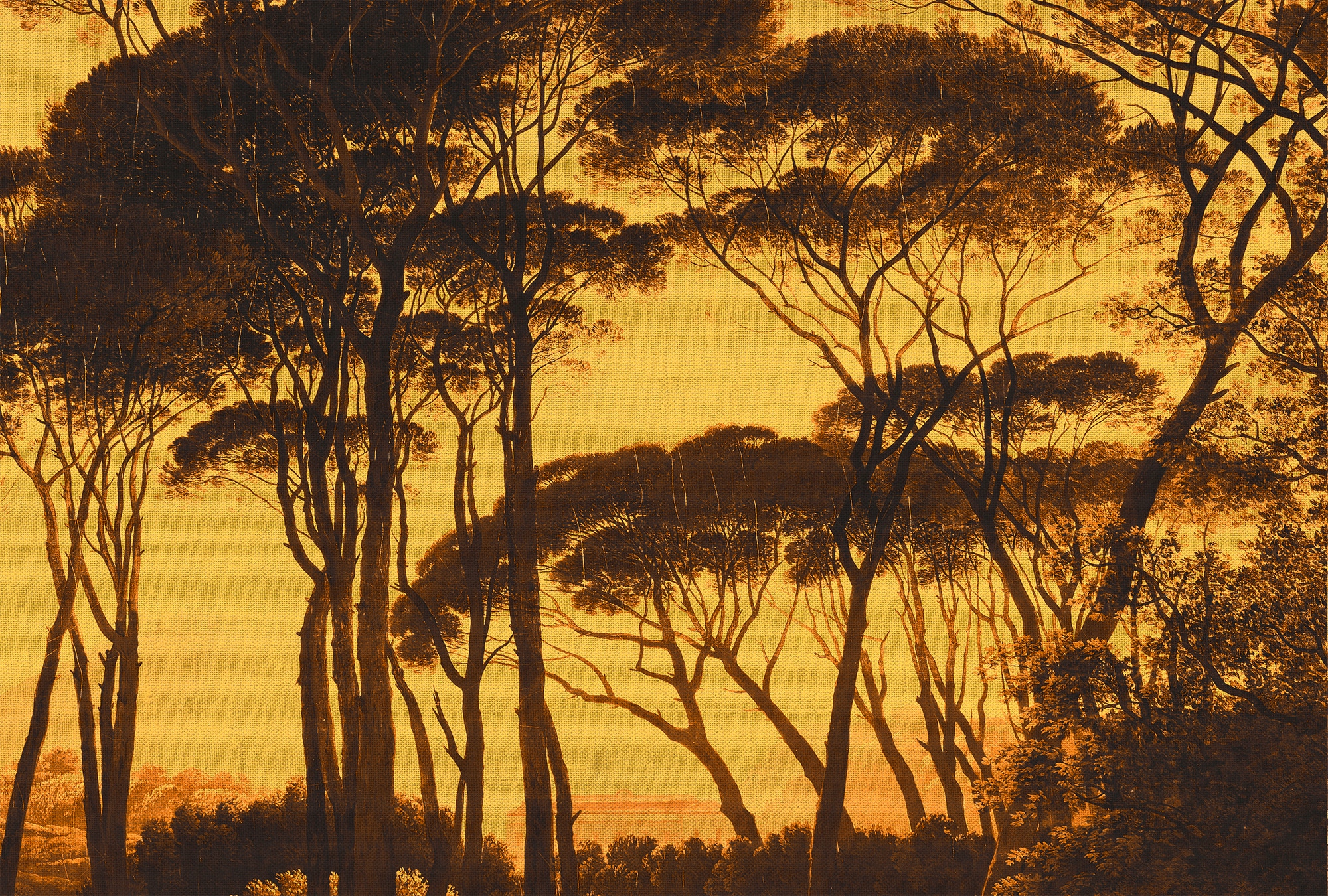 Architects Paper Fototapete »Atelier 47 Treetops 2« Wald glatt Vlies, Wand, günstig online kaufen