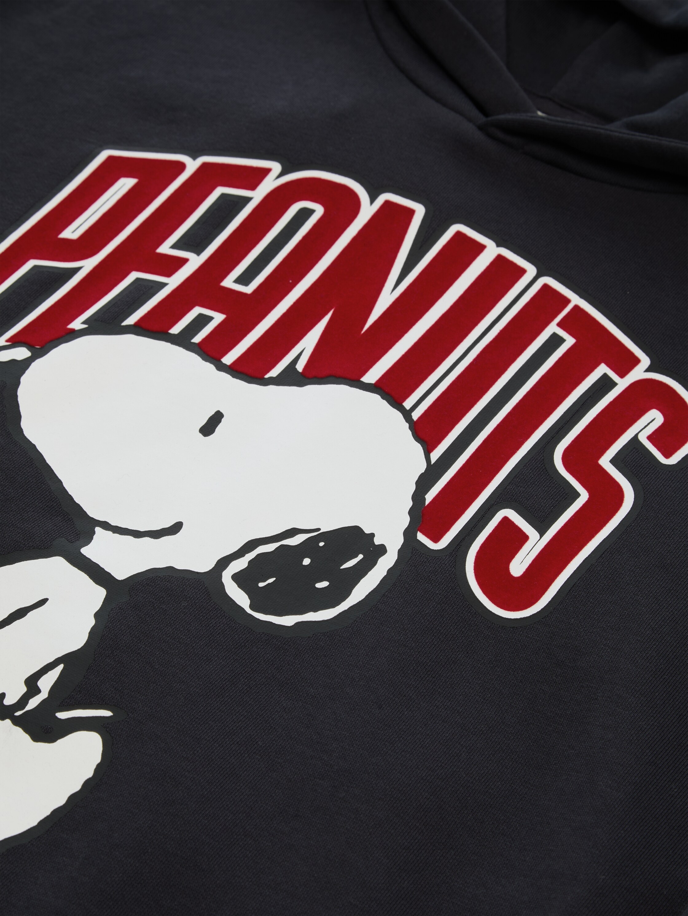 TOM TAILOR Kapuzensweatshirt , mit Peanut-Print / für boys
