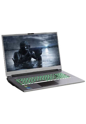 CAPTIVA Gaming-Notebook »Advanced Gaming I65-675CH«, (43,9 cm/17,3 Zoll), Intel, Core... kaufen