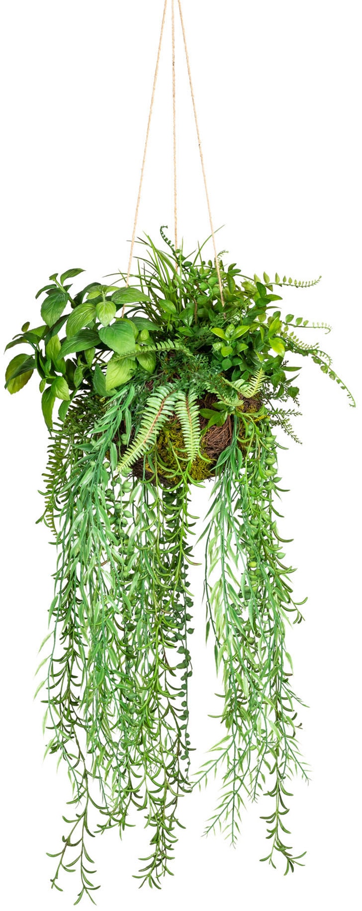 Creativ green Künstliche St.) kaufen Zimmerpflanze online (1 »Dekokugel zum Hängen«