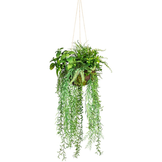 Creativ green Künstliche Zimmerpflanze »Dekokugel zum Hängen«, (1 St.)  online kaufen