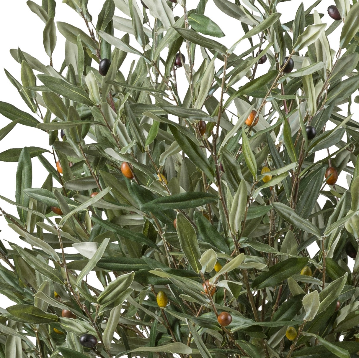 Creativ green Kunstbaum »Olive«, mit echtem Holzstamm günstig online kaufen
