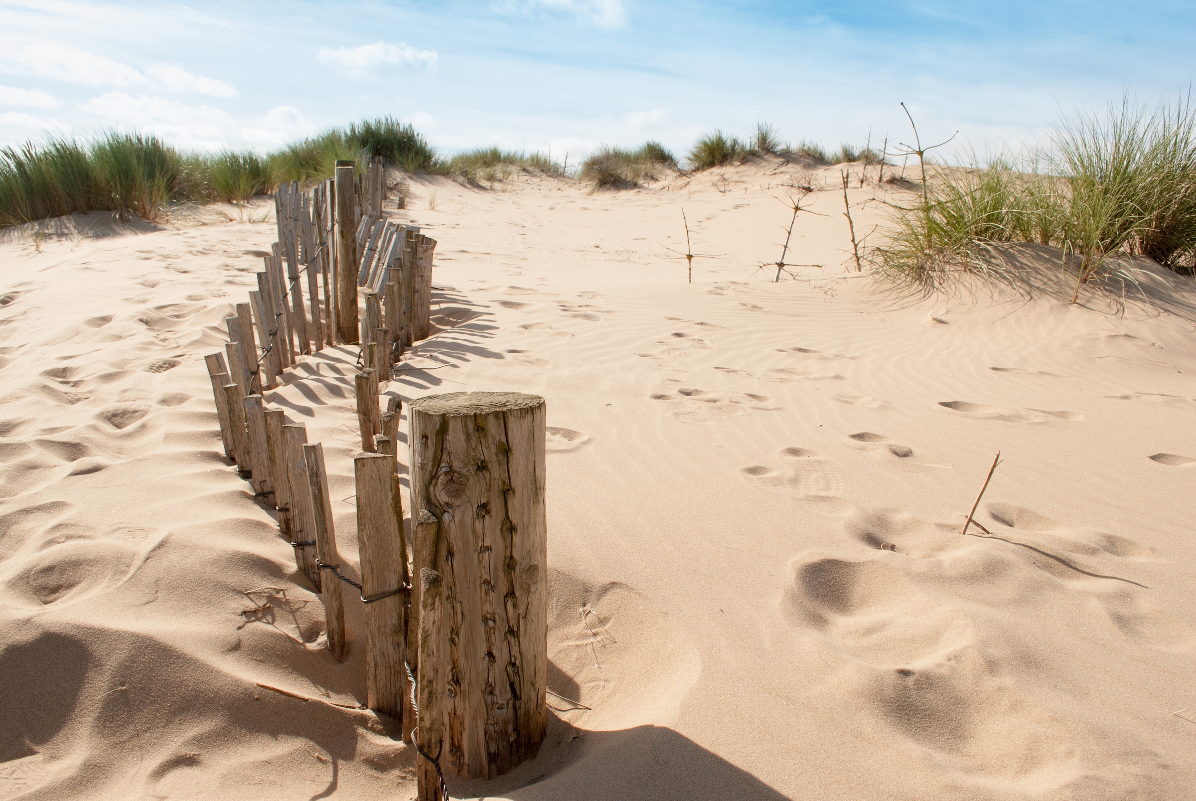 Papermoon Fototapete »Dunes Sandy Beach« günstig online kaufen