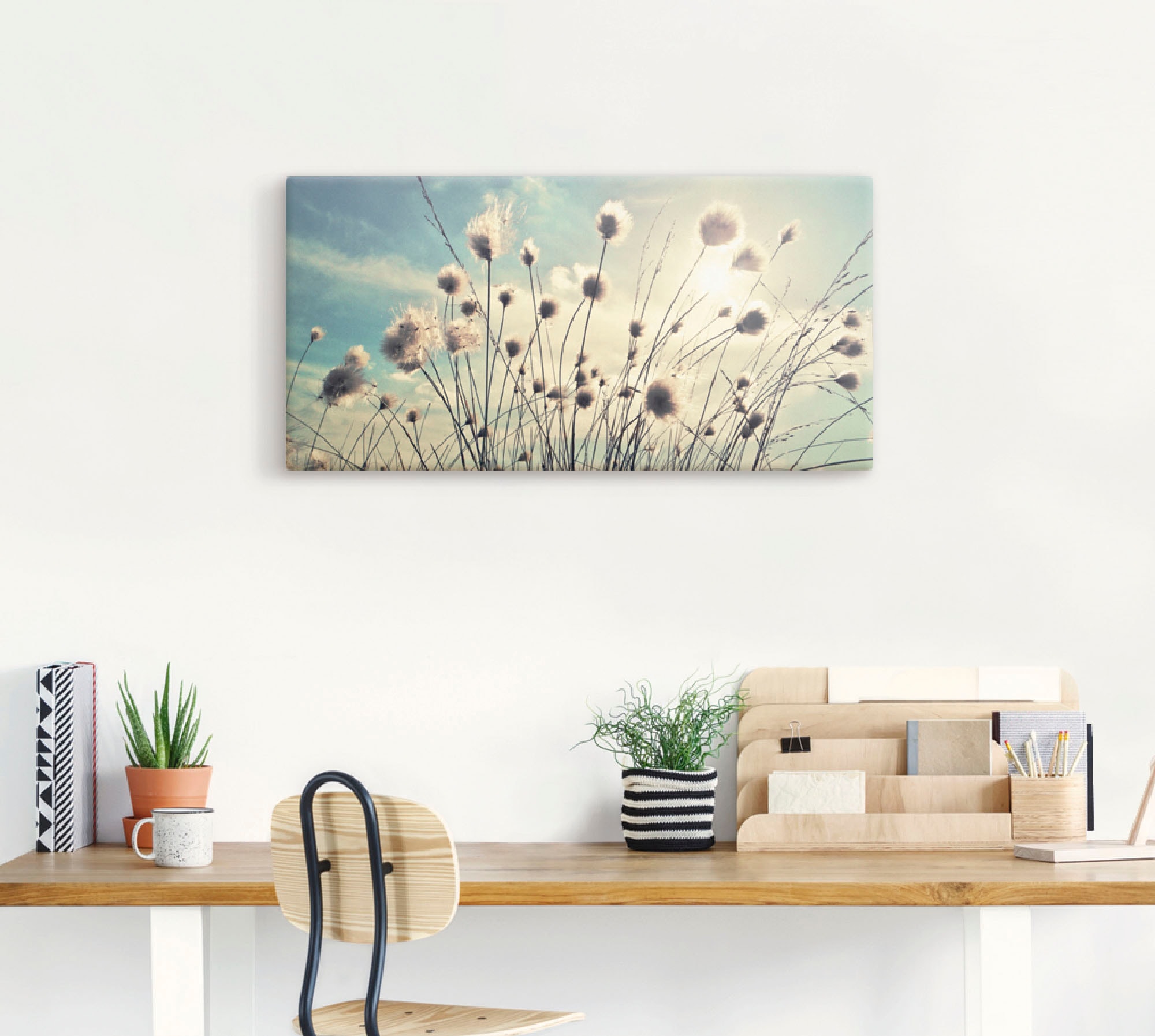 Artland Wandbild »Wollgras«, Gräser, (1 St.), als Alubild, Outdoorbild, Leinwandbild, Poster, Wandaufkleber
