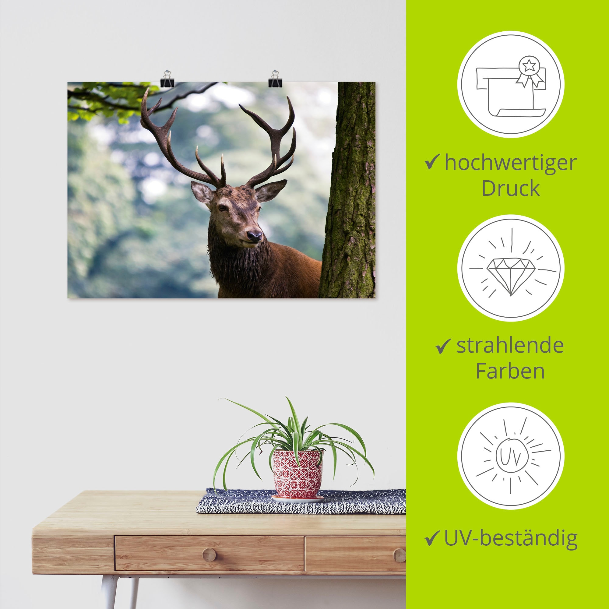 Artland Wandbild »Hirsch«, Wildtiere, (1 St.), als Alubild, Outdoorbild, Leinwandbild, Poster in verschied. Größen