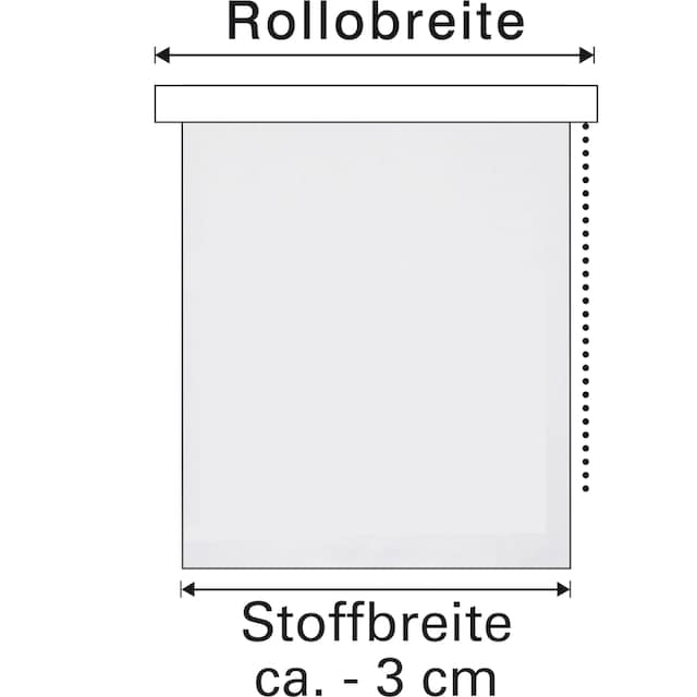 GARDINIA Seitenzugrollo »Easyfix Rollo Digiprint«, blickdicht, ohne Bohren,  mit Weidenkätzchen Motiv bequem und schnell bestellen