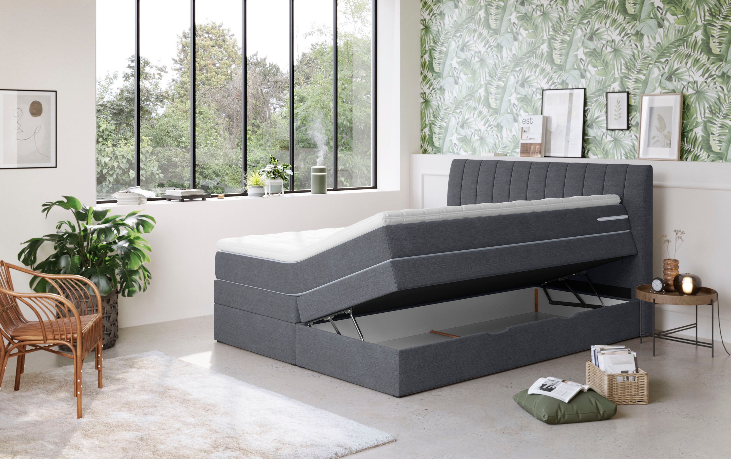 COTTA Boxspringbett »Shark inkl. Bettkasten und Topper«, erhältlich in den Breiten 140x200cm, 160x200cm und 180x200cm