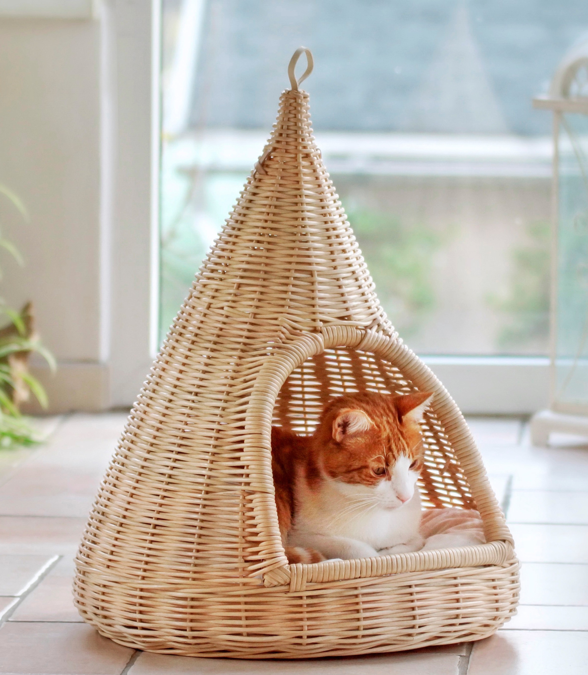 Bild von SILVIO design Tierkorb »Rattan«