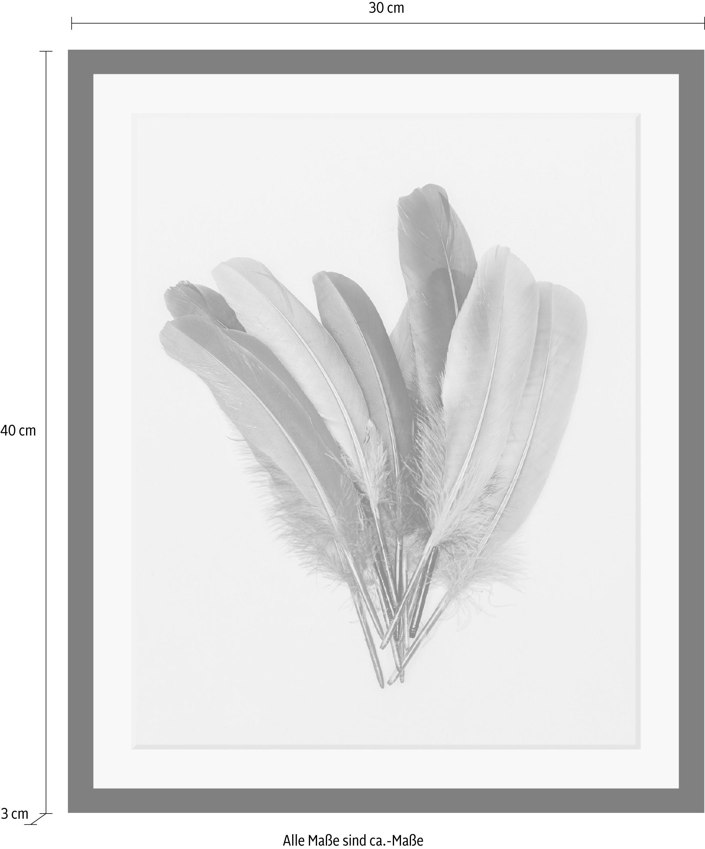 queence Bild »Federn« Federn | Kunst HD Premium Poster-Druck inkl. Holzrahmen