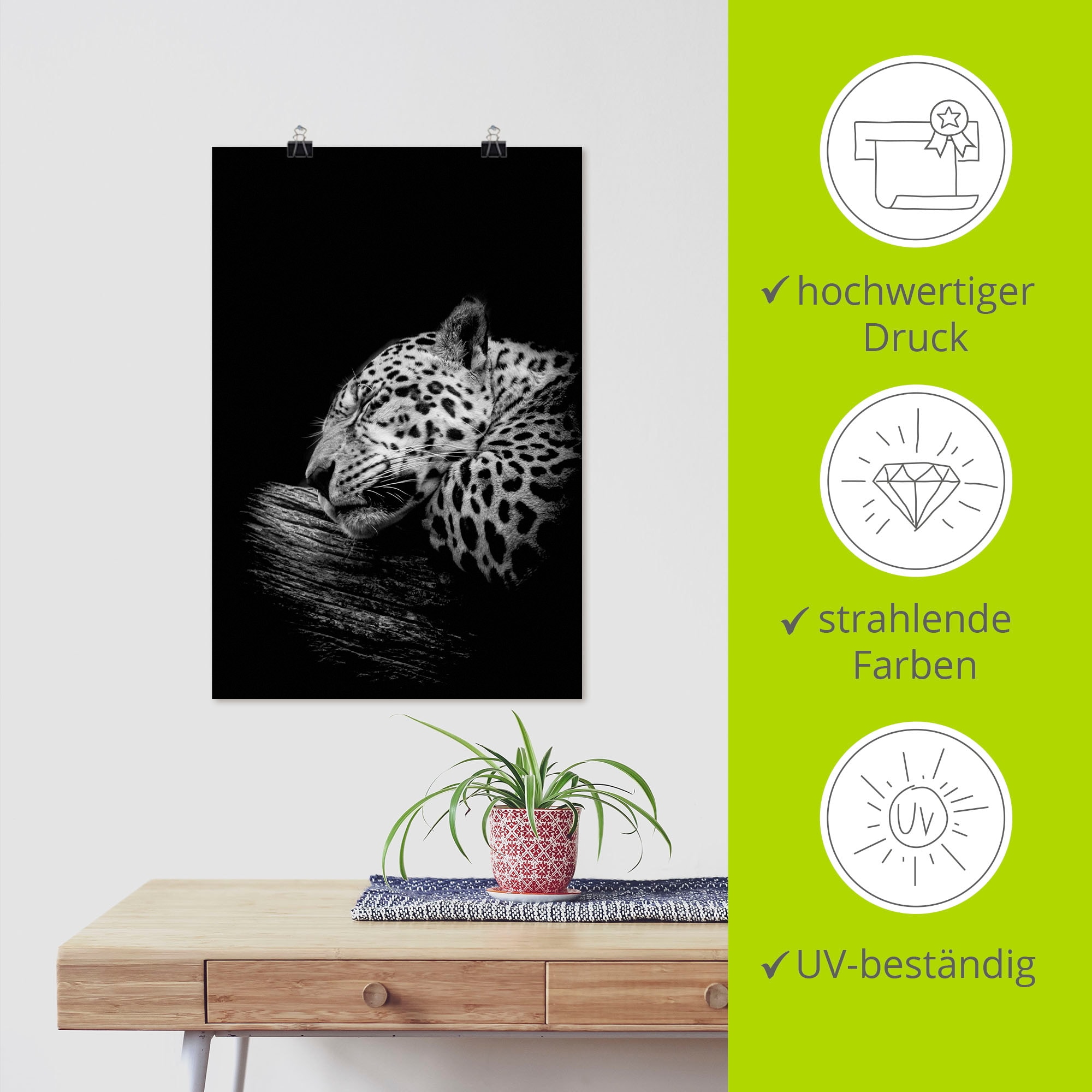 Artland Wandbild »Der schlafende Jaguar« Wildtiere 1 Stk. tlg. als Alubild, Outdoorbild, Leinwandbild, Poster in verschied. Größen