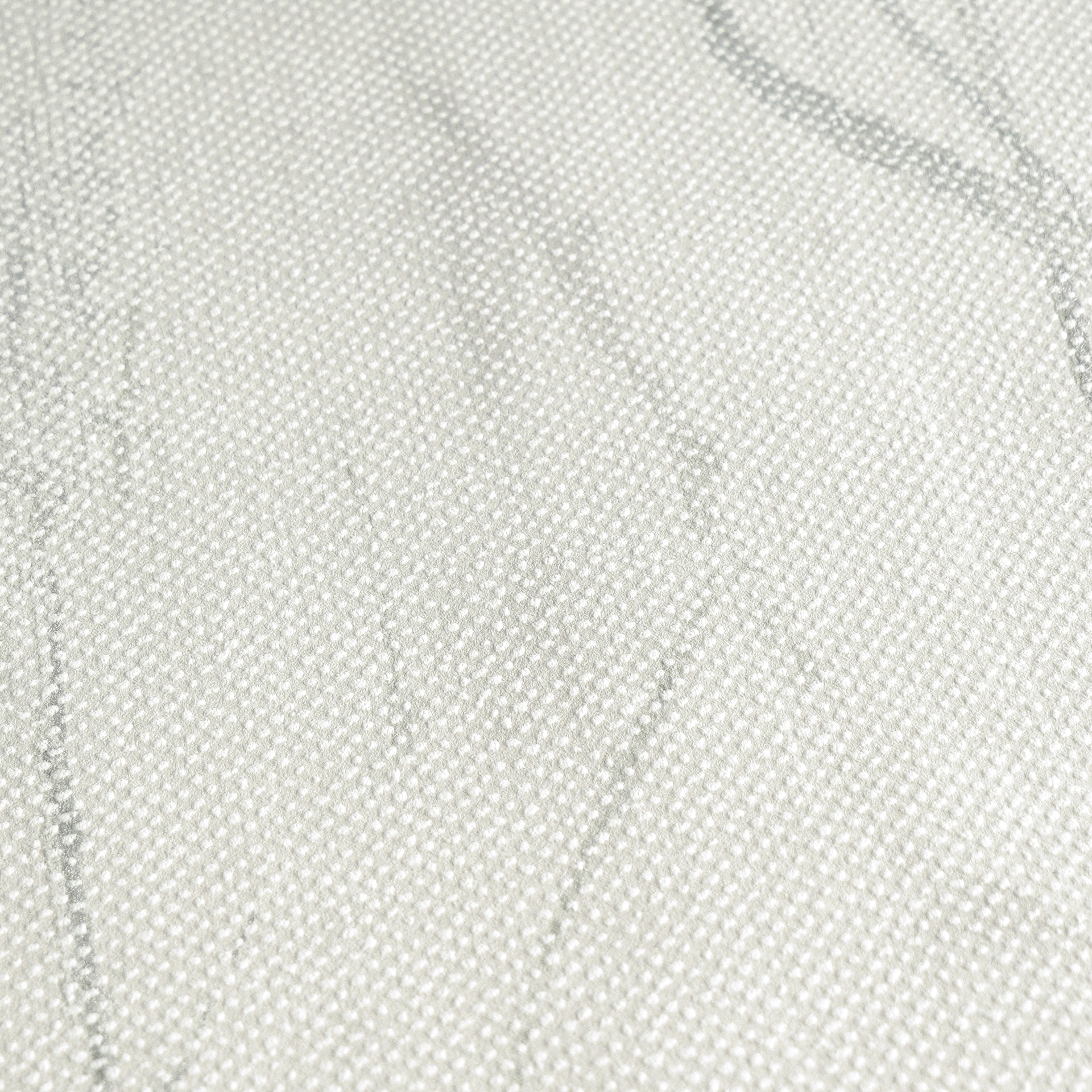 A.S. Création Vliestapete »mit Gräser-Motiv natürliche Räume« matt strukturiert Dekorative Vliestapete mit zartem Gräser-Design