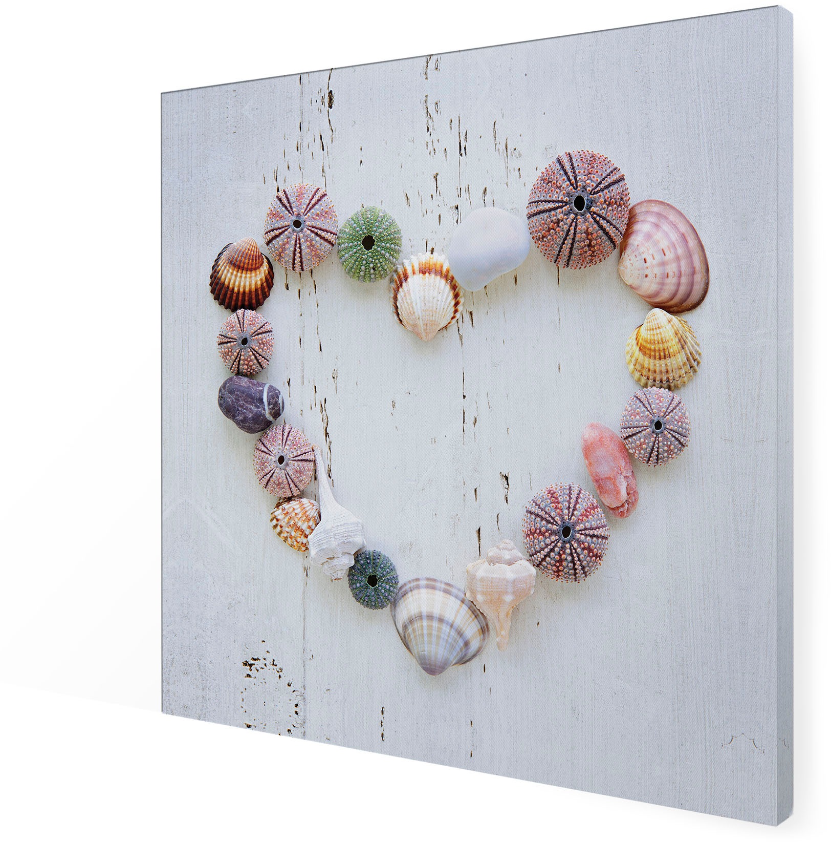 Art for the home Leinwandbild »Outdoor Muschelherz 50x70cm«, Romantisch-Strand, (1 St.), Leinwand für draußen -Muschelherz - 50x50cm