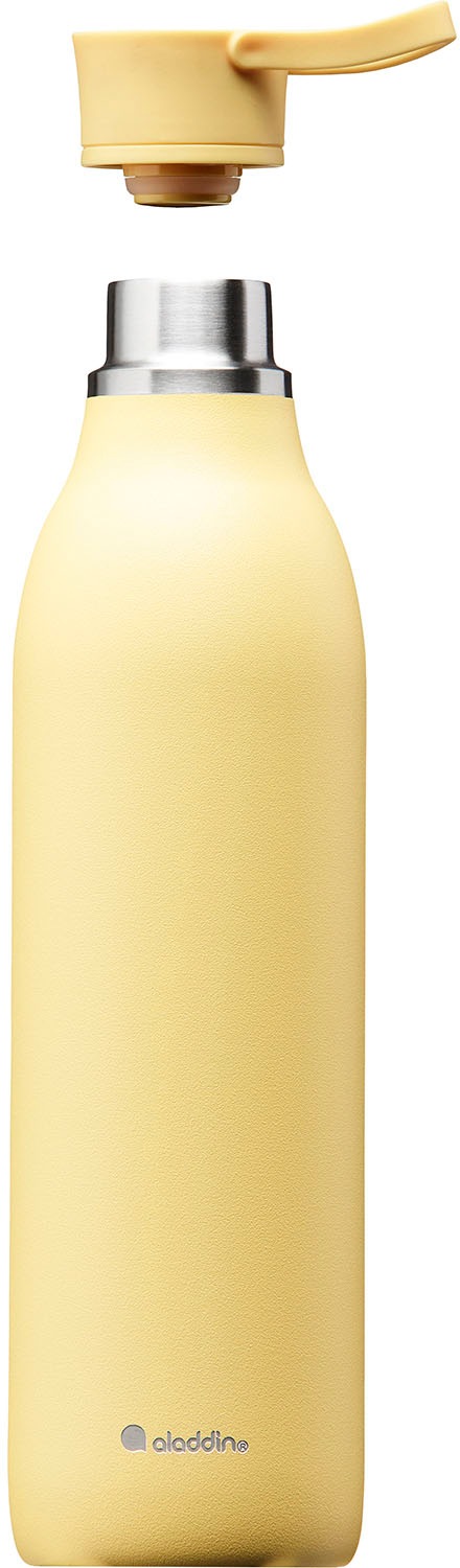 aladdin Trinkflasche »City Loop«, Edelstahl, 600 ml