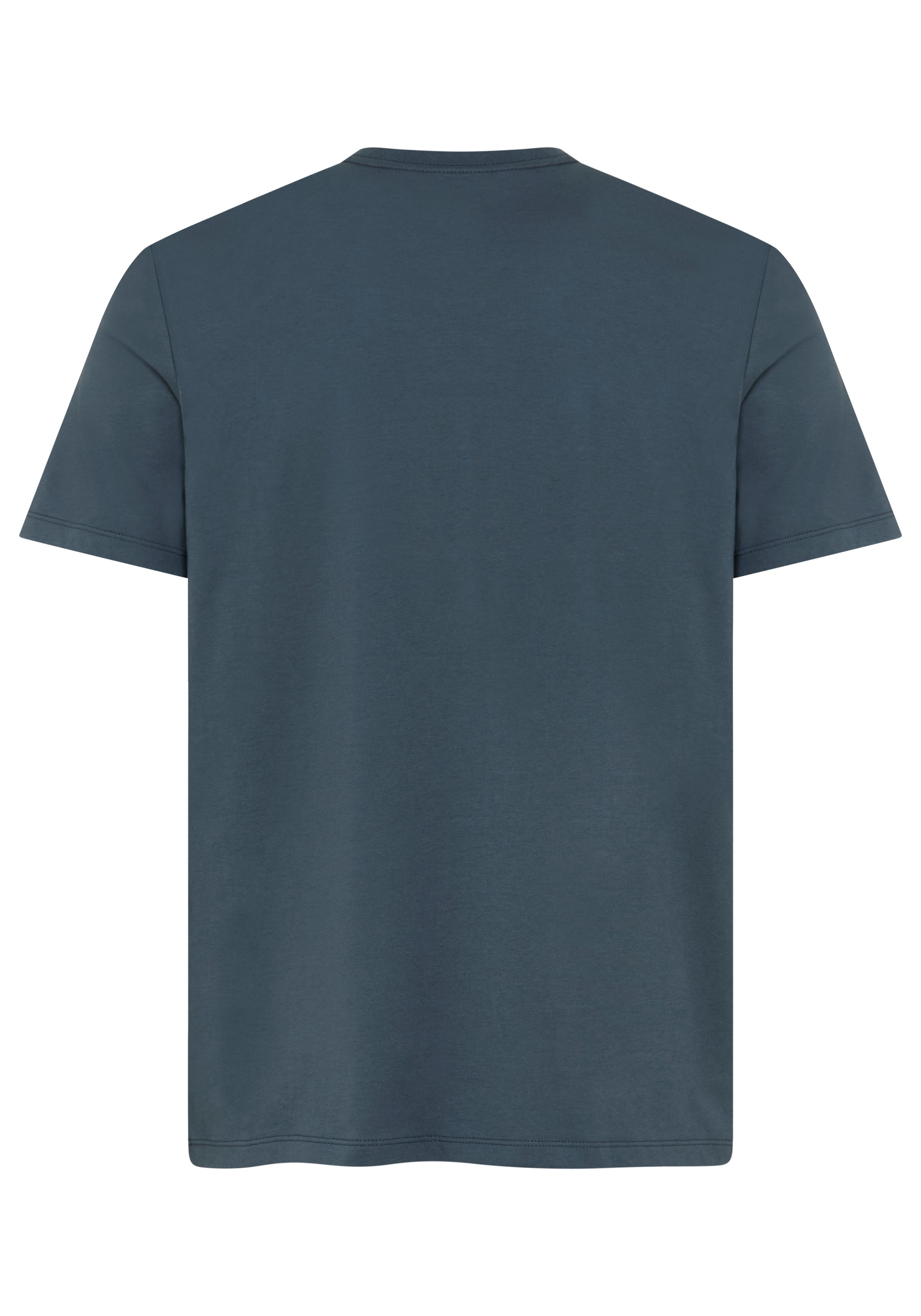 Calvin Klein Jeans T-Shirt »LINES SEASONAL« Regular fit mit Print