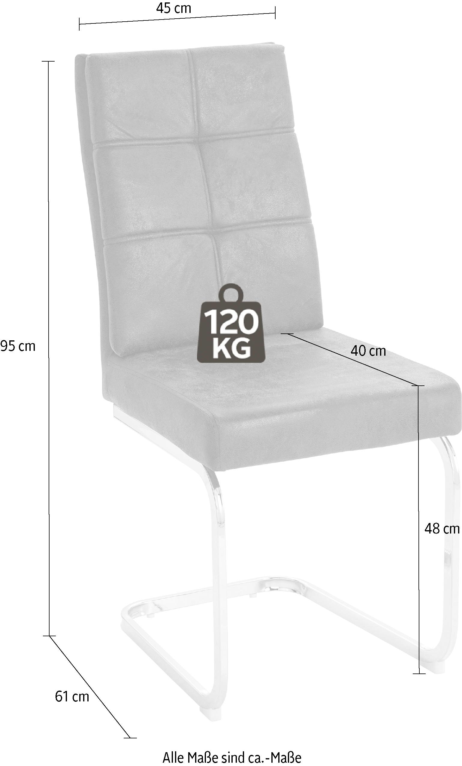 »Lale«, (2 strapazierfähiger aus Raten Stück) Microfaser, auf Freischwinger Metallgestell bestellen Bezug INOSIGN