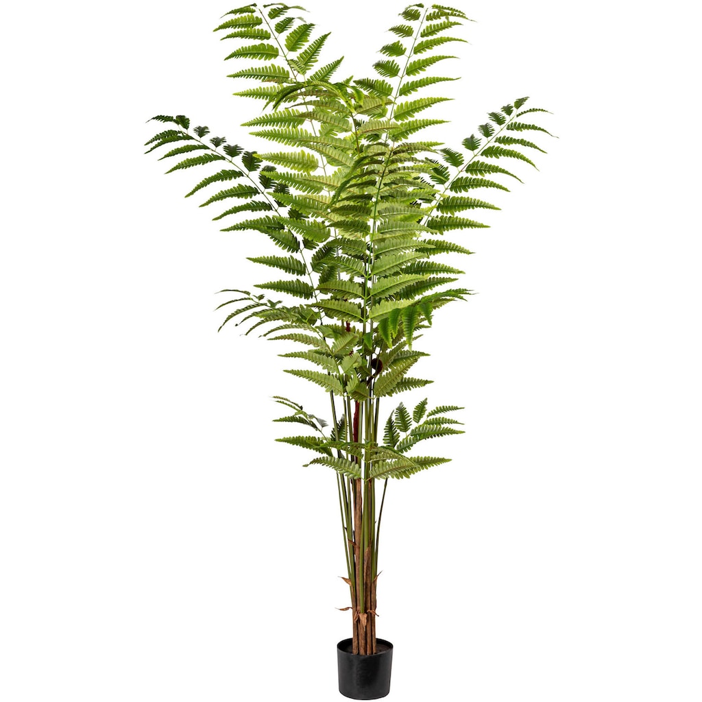 Creativ green Künstliche Zimmerpflanze »Lederfarnpflanze«