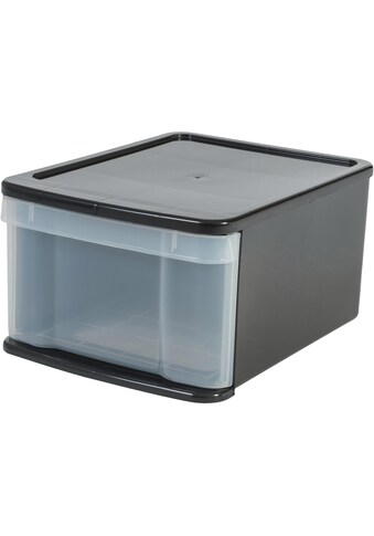IRIS OHYAMA Aufbewahrungsbox »SDLP«, 20 Liter kaufen