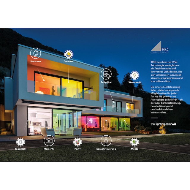 TRIO Leuchten LED Deckenleuchte »DIAMO«, 1 flammig-flammig, Mit  WiZ-Technologie für eine moderne Smart Home Lösung online kaufen