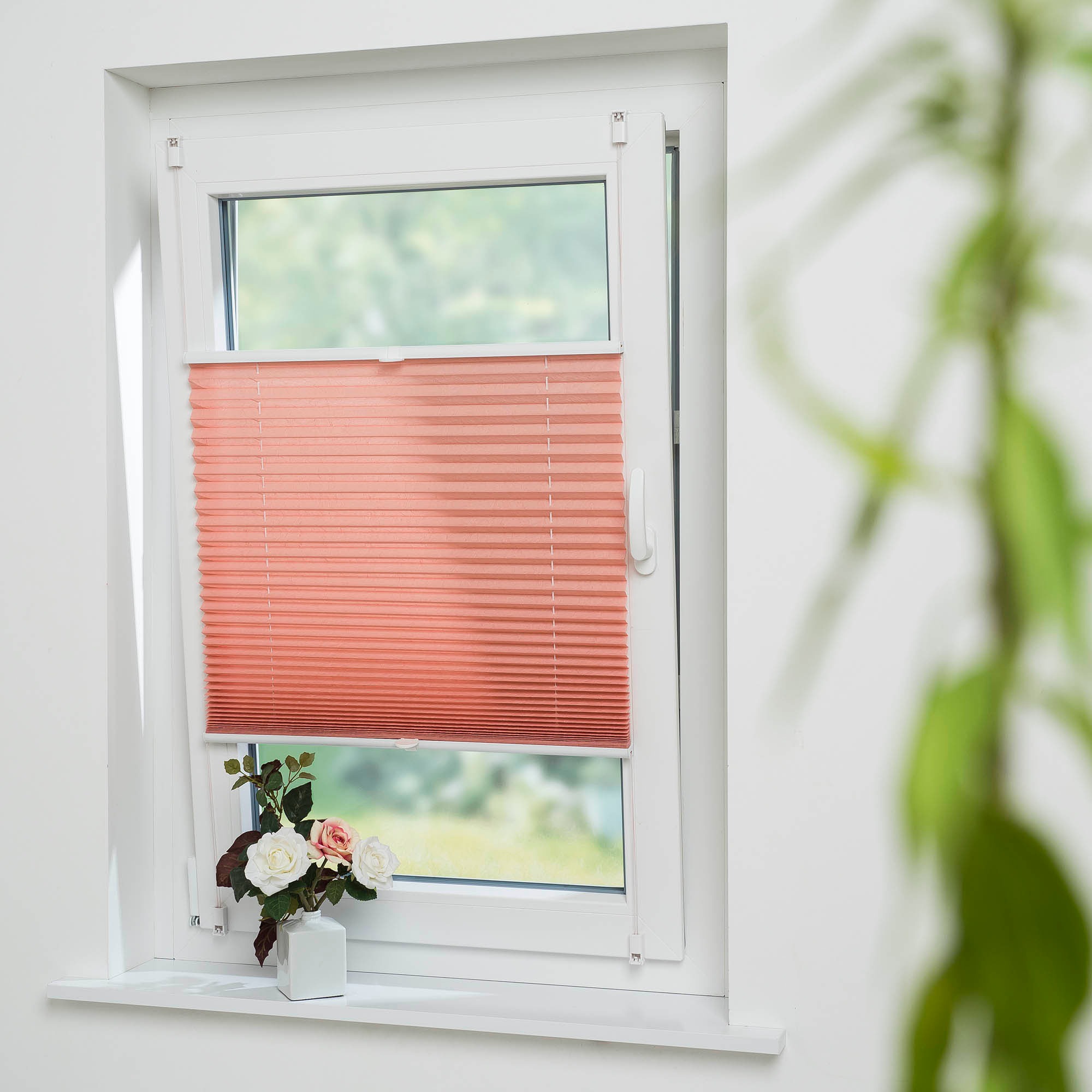 Liedeco Plissee »Lachs«, Lichtschutz, ohne Bohren, verspannt günstig online kaufen