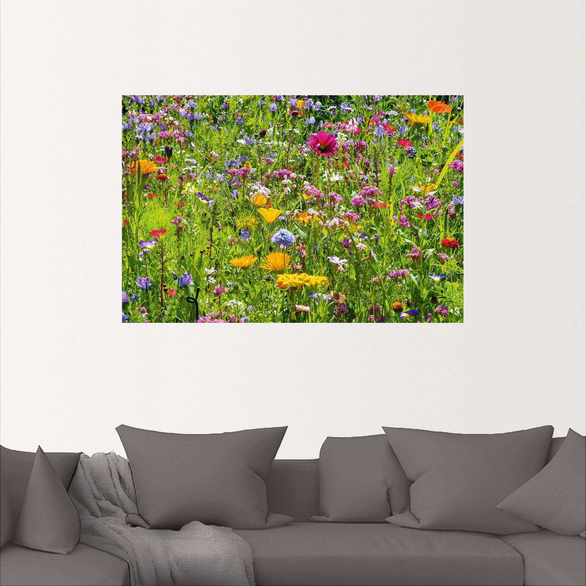 Artland Wandbild »Bunte Blumenwiese«, Blumenwiese, (1 St.), als Alubild, Outdoorbild, Leinwandbild, Poster, Wandaufkleber