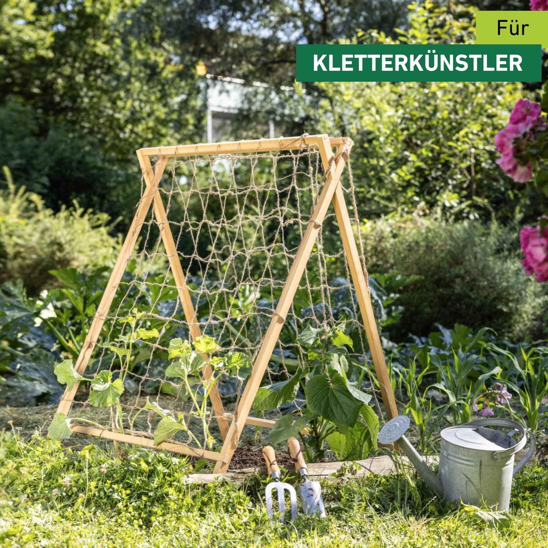 Windhager Rankgitter »Holz-Rankzelt für Blumen und Gemüsepflanzen« Klettterhilfe für den Garten, 90 x 75 x 105 cm