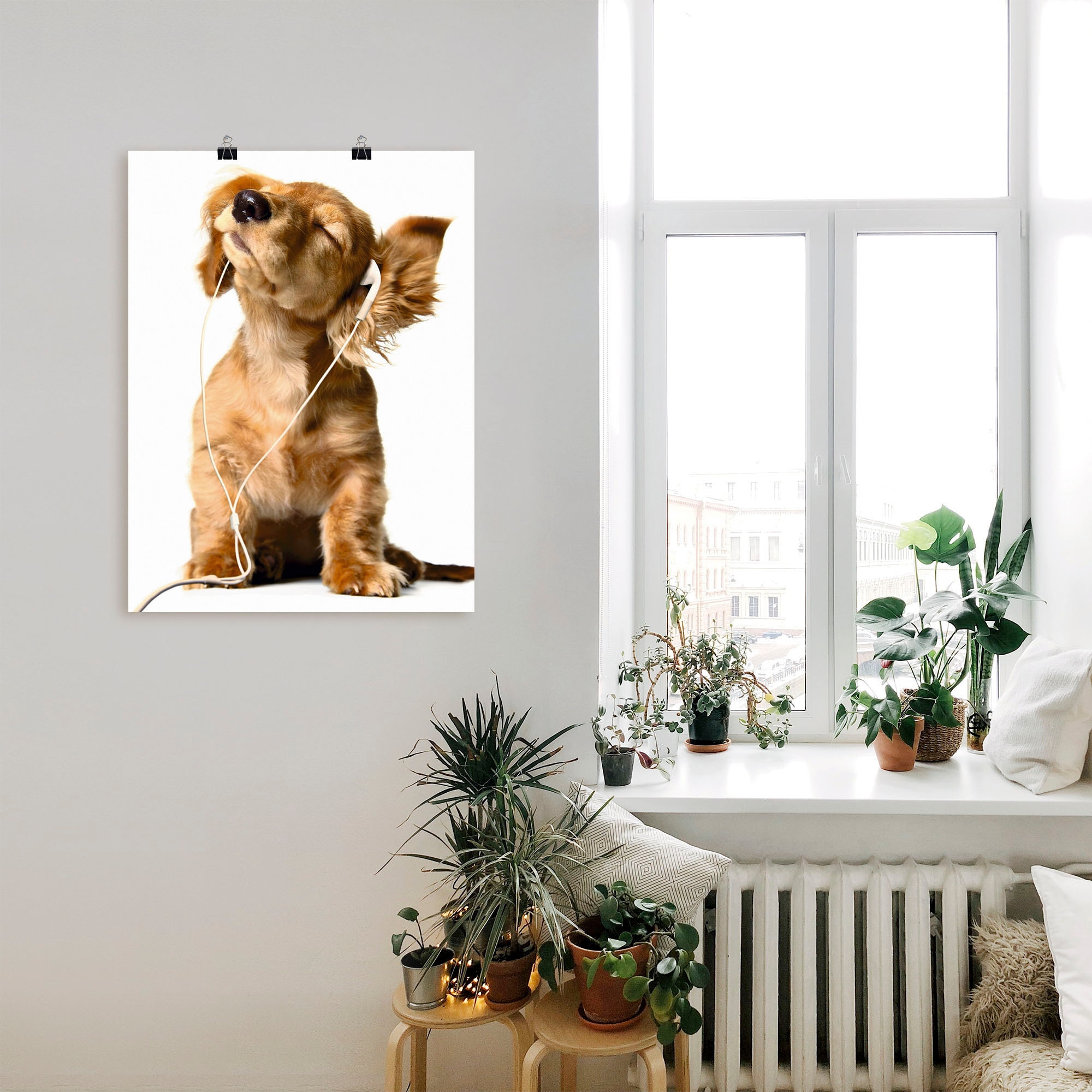 Artland Wandbild »Junger Hund hört Musik über Kopfhörer«, Haustiere, (1 St.), als Leinwandbild, Poster, Wandaufkleber in verschied. Größen
